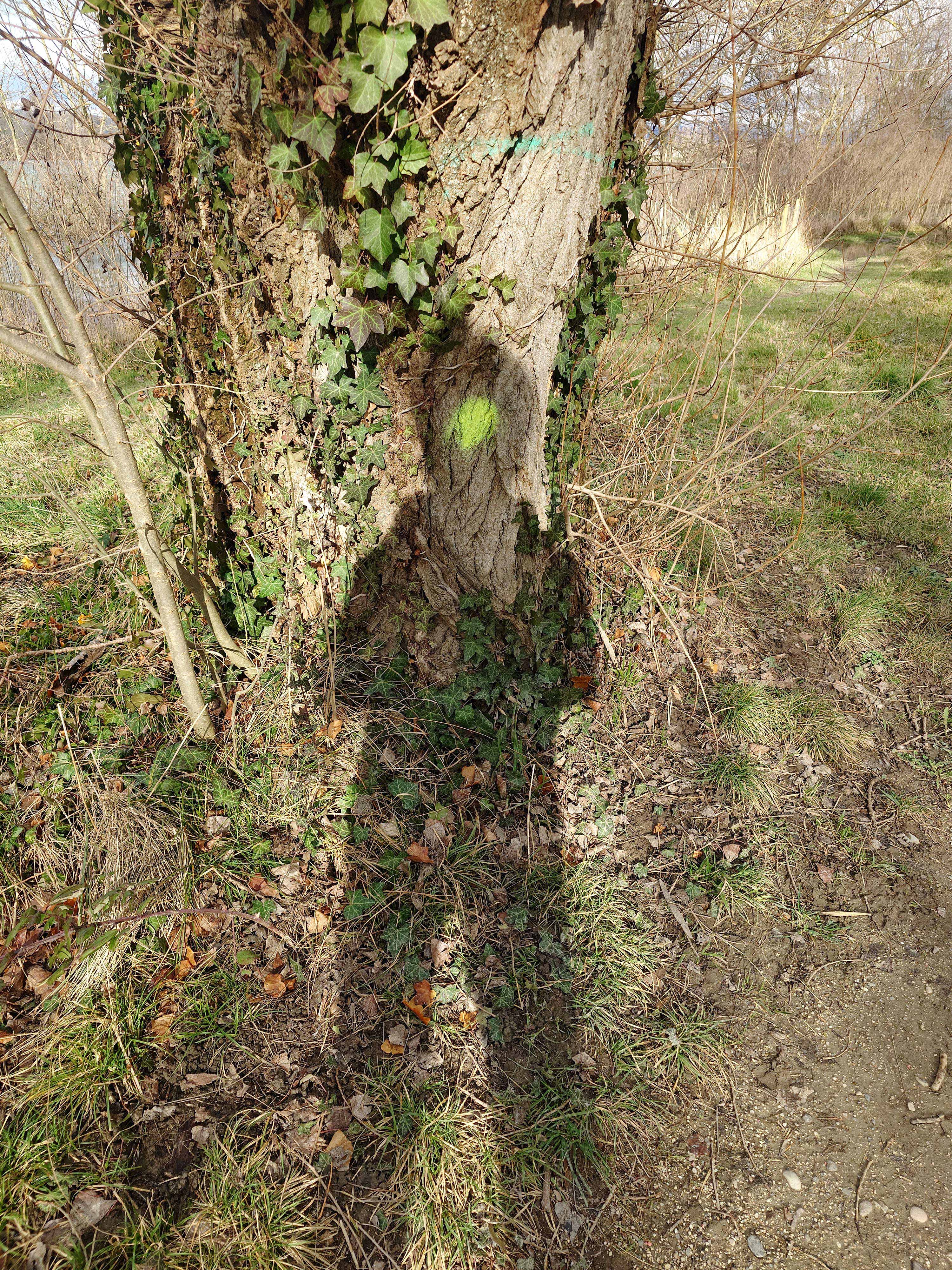  par Arnaud Lancelevée