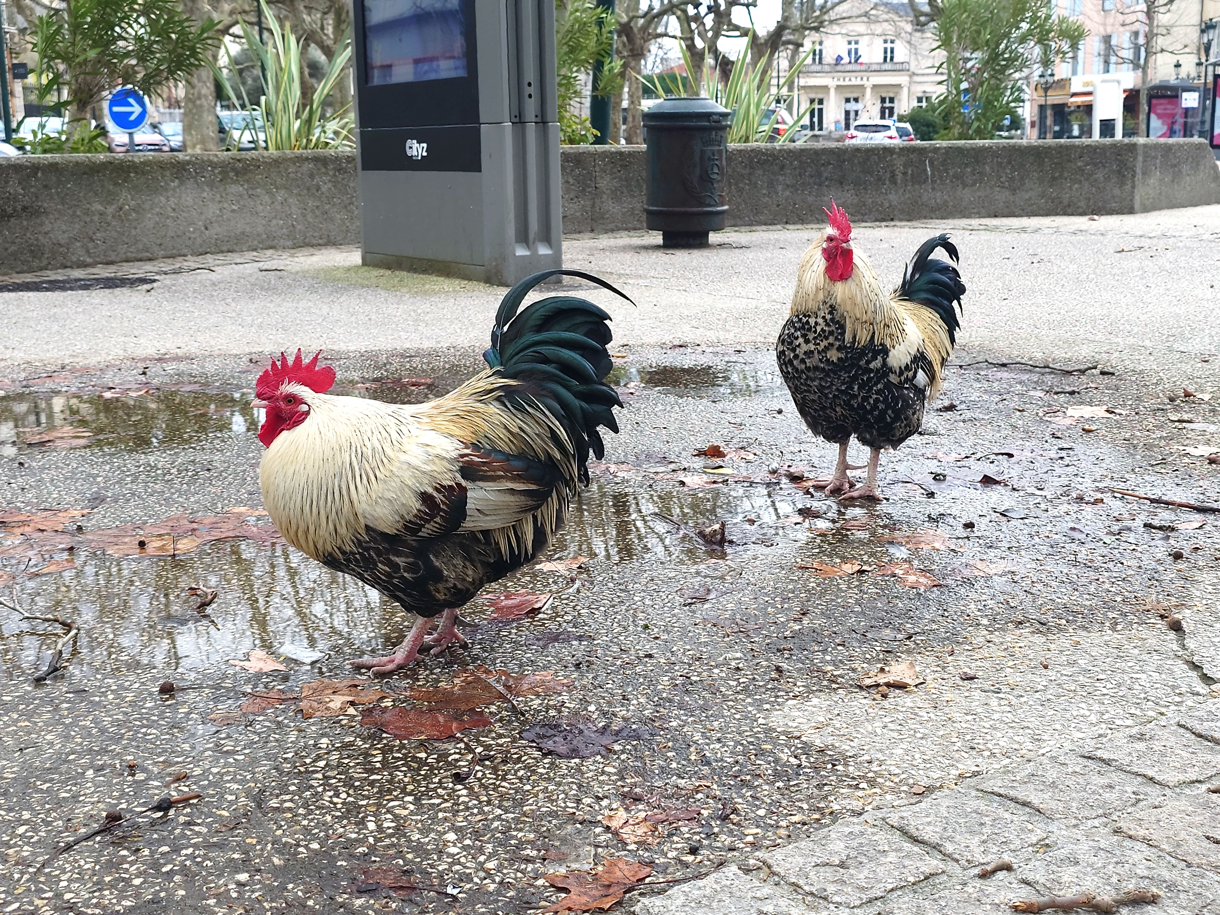  par Arnaud Lancelevée