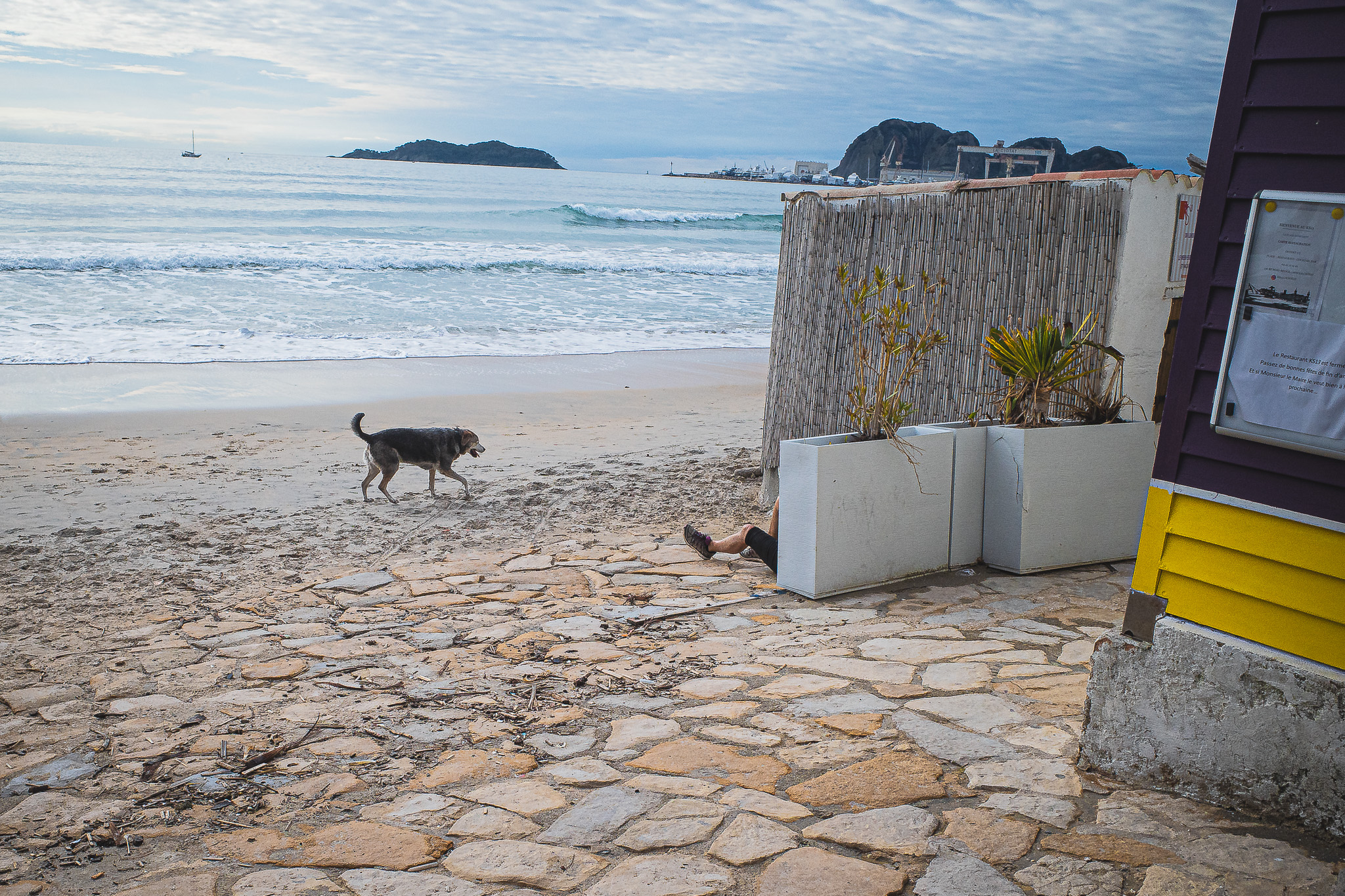 The rambler par Gérard Dubois