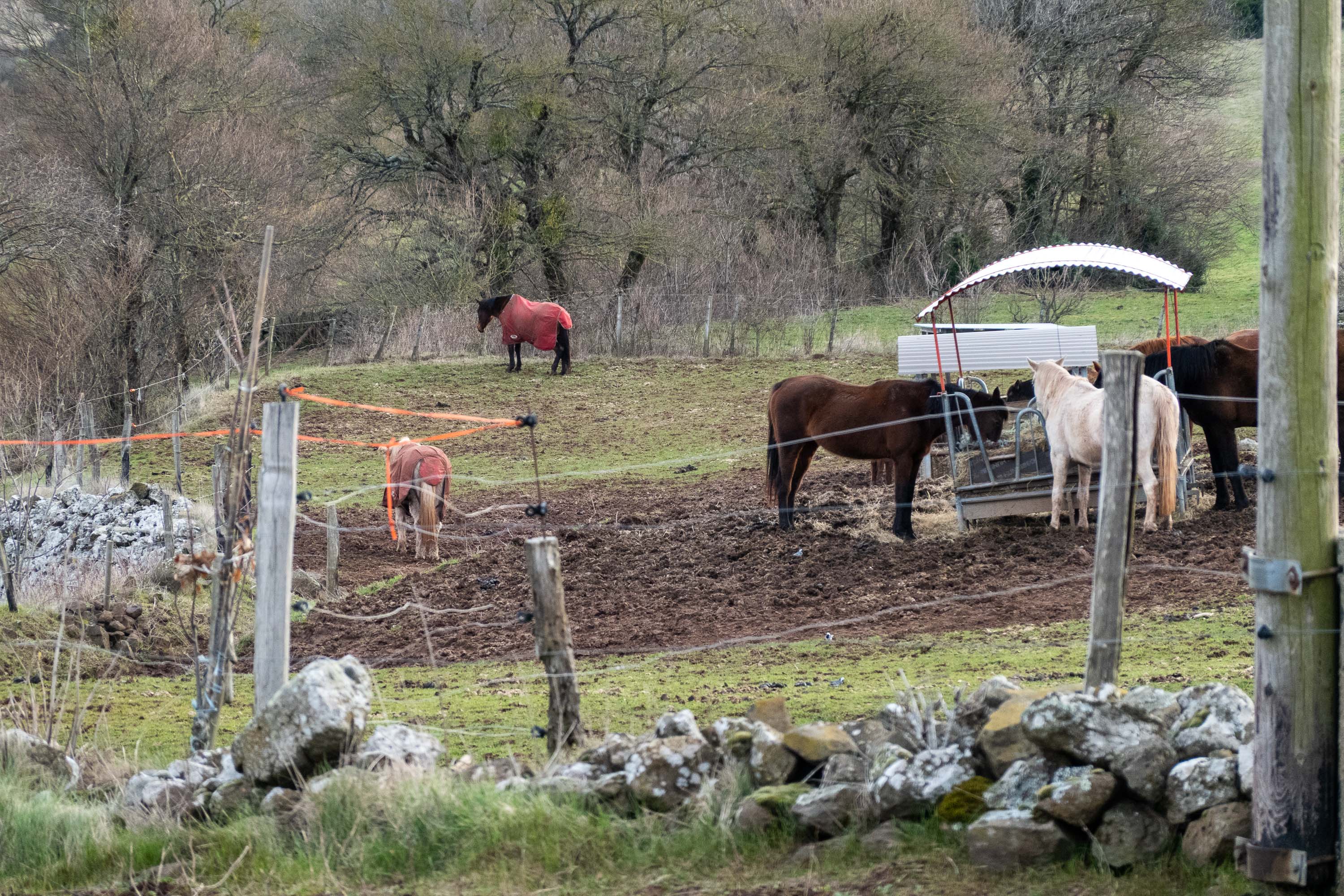  par Tristan Zilberman