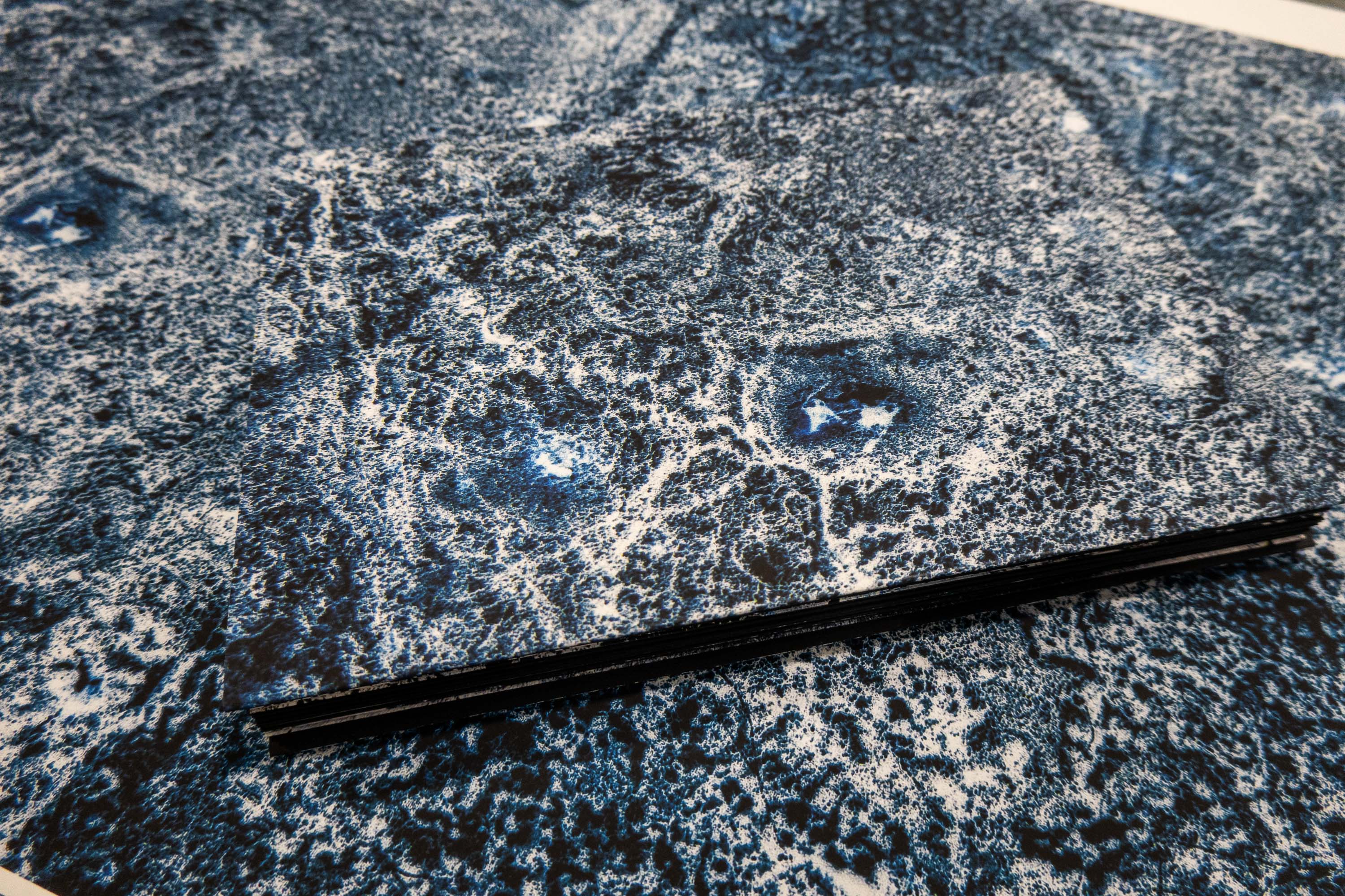  par Tristan Zilberman