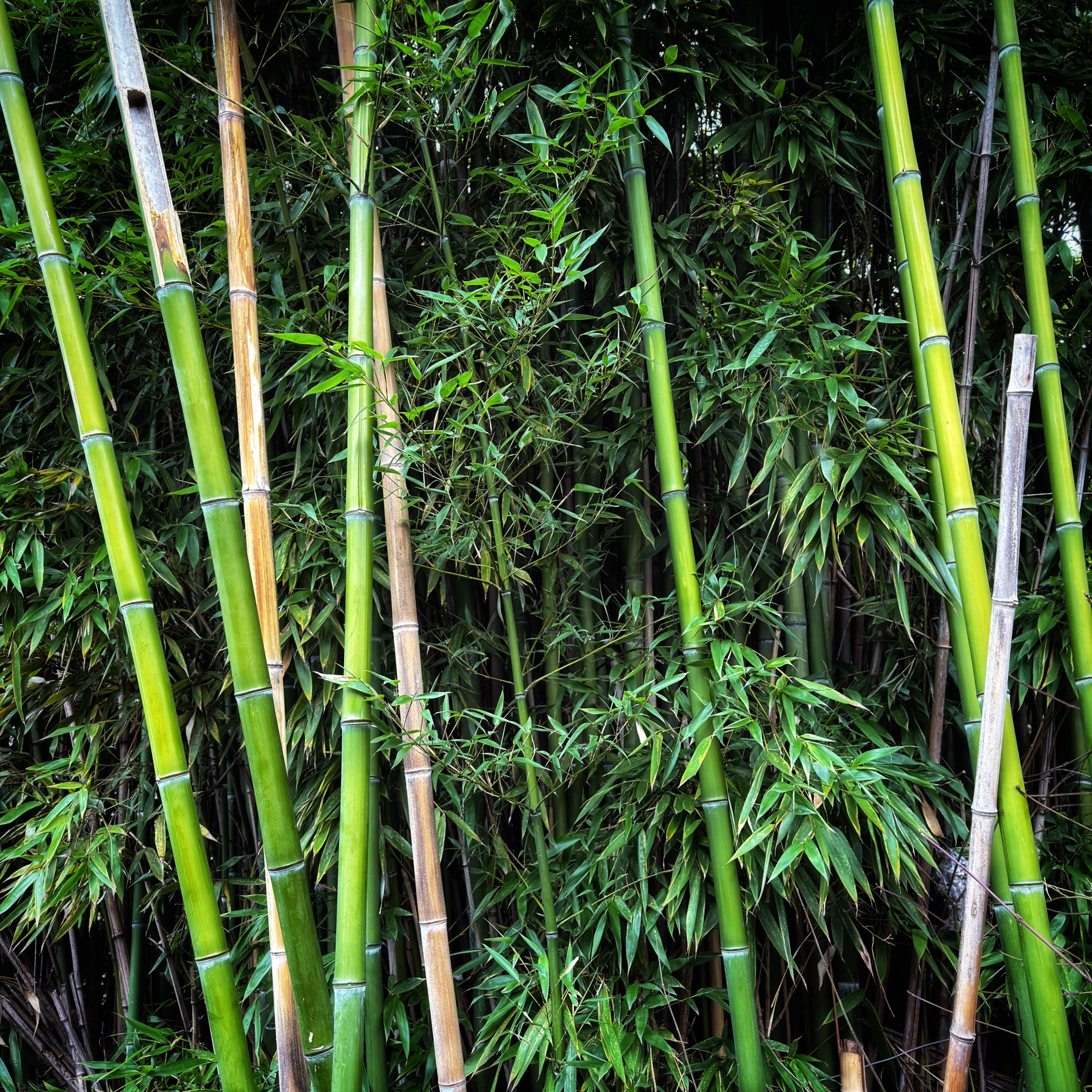  par Isabelle Meister