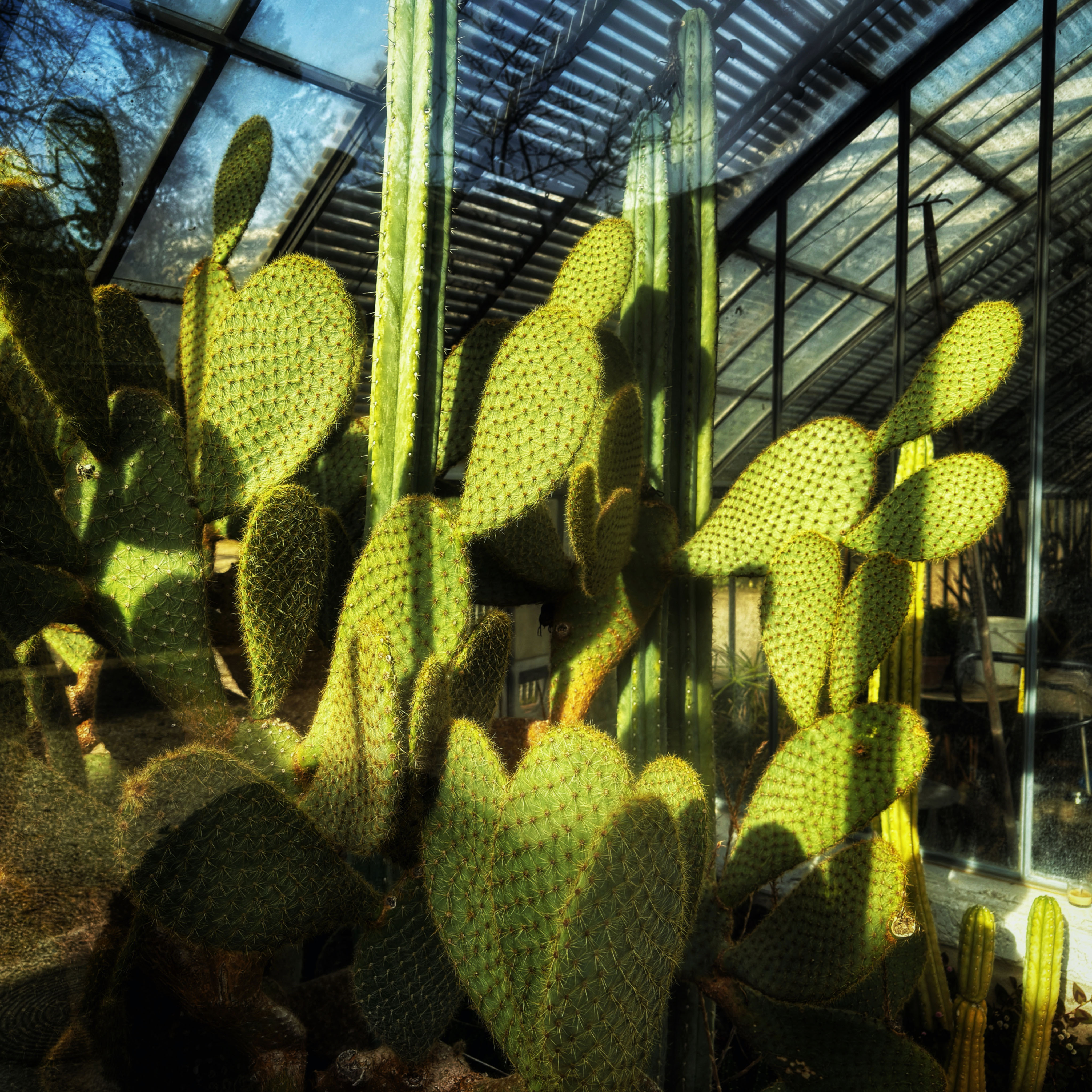  par Isabelle Meister