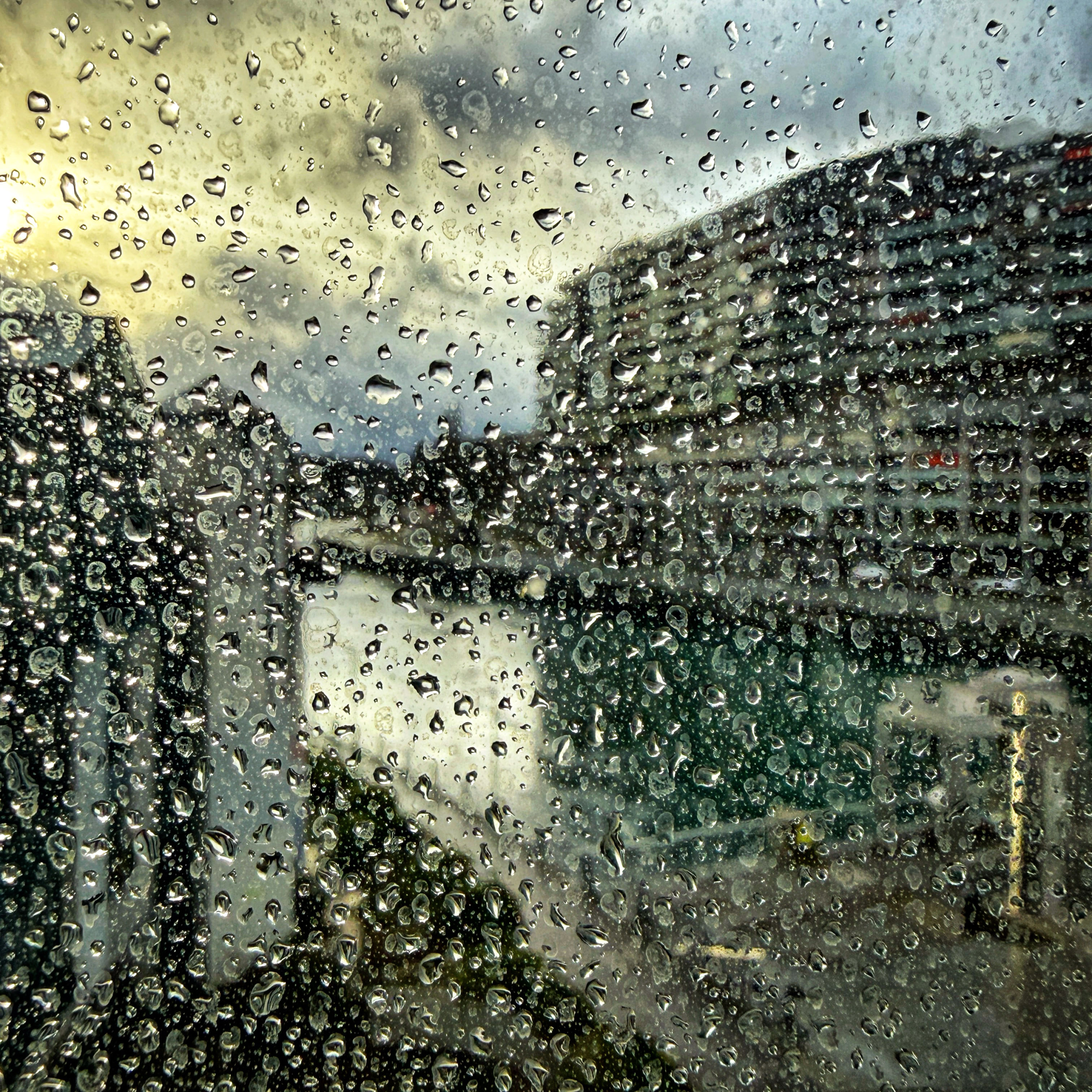  par Isabelle Meister