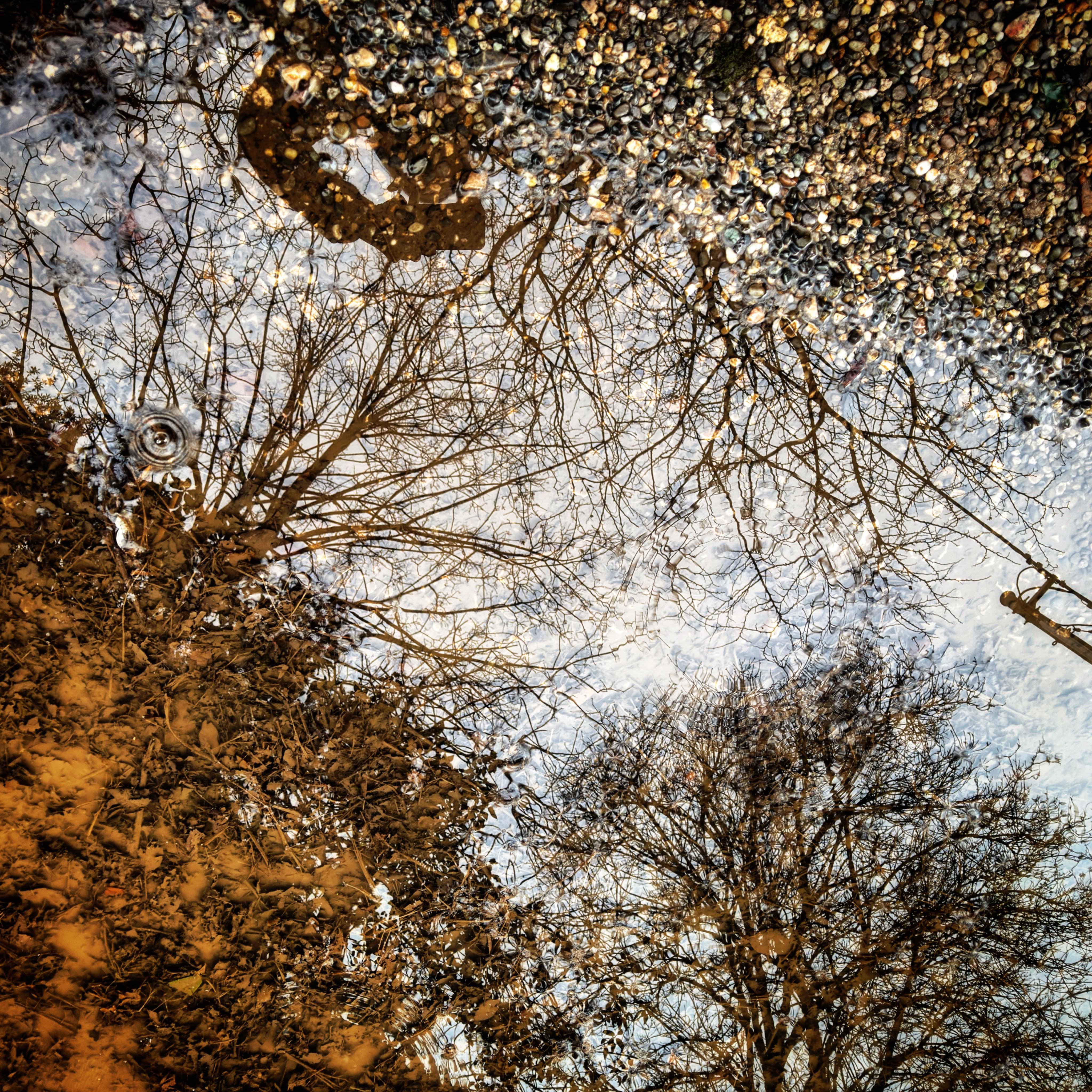  par Isabelle Meister