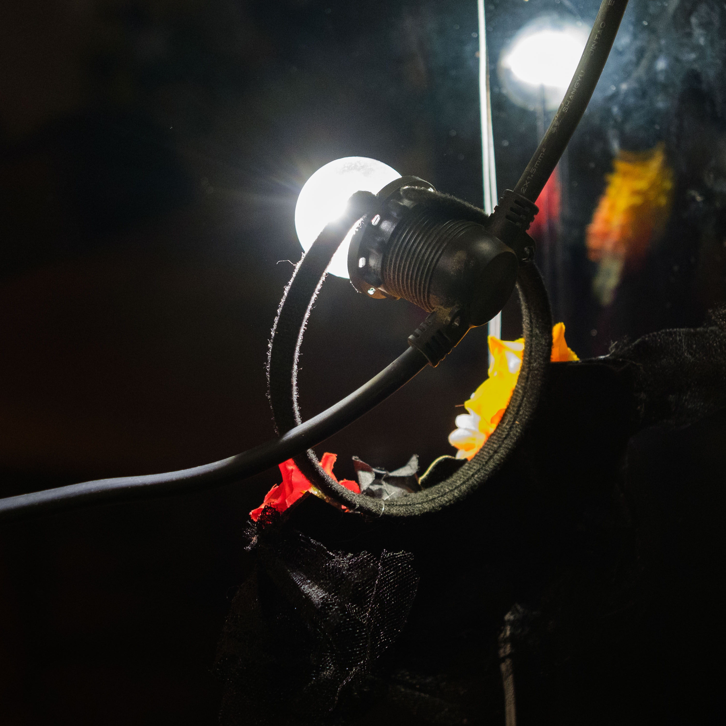 Le retour (photojournala__e 2526) par Anne Wyrsch