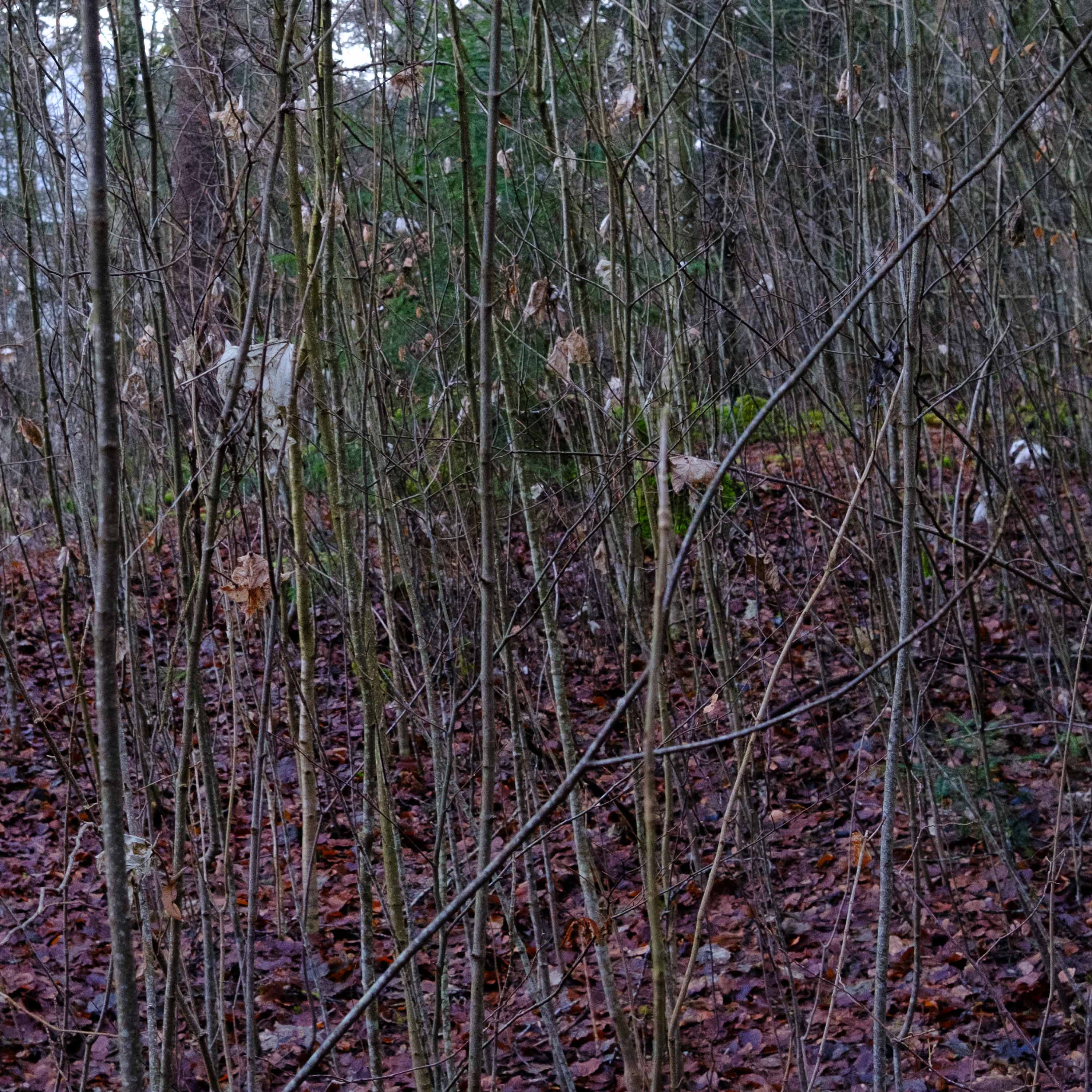 Petits mouchoirs (photojournala__e 2527) par Anne Wyrsch