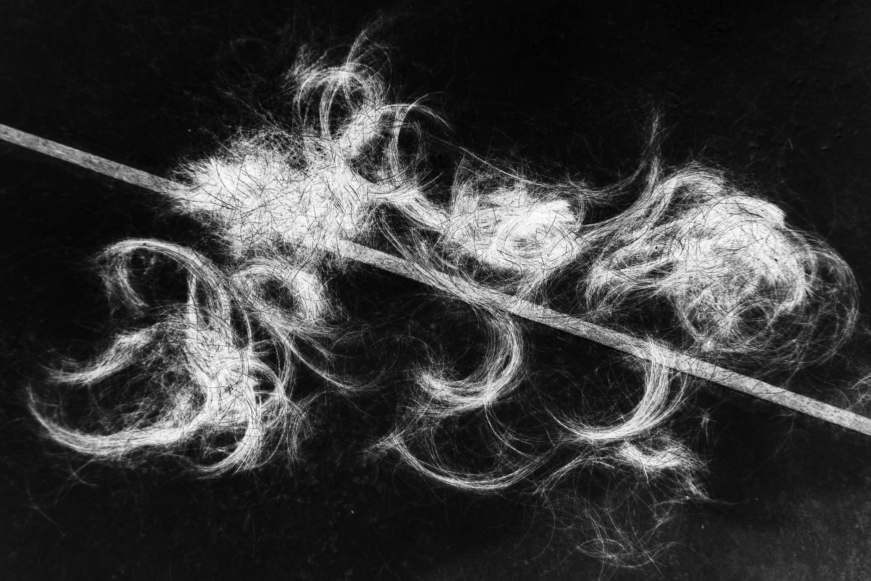  par Tristan Zilberman