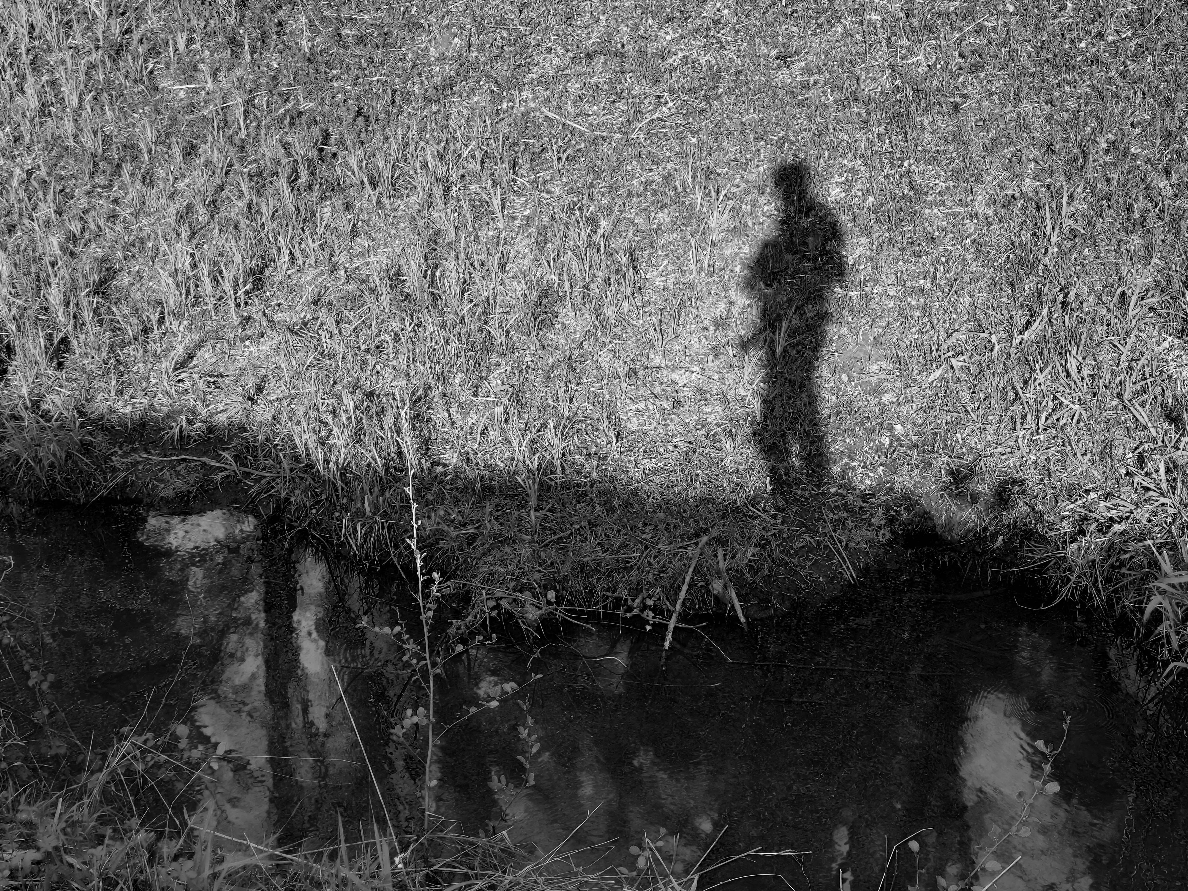  par Arnaud Lancelevée