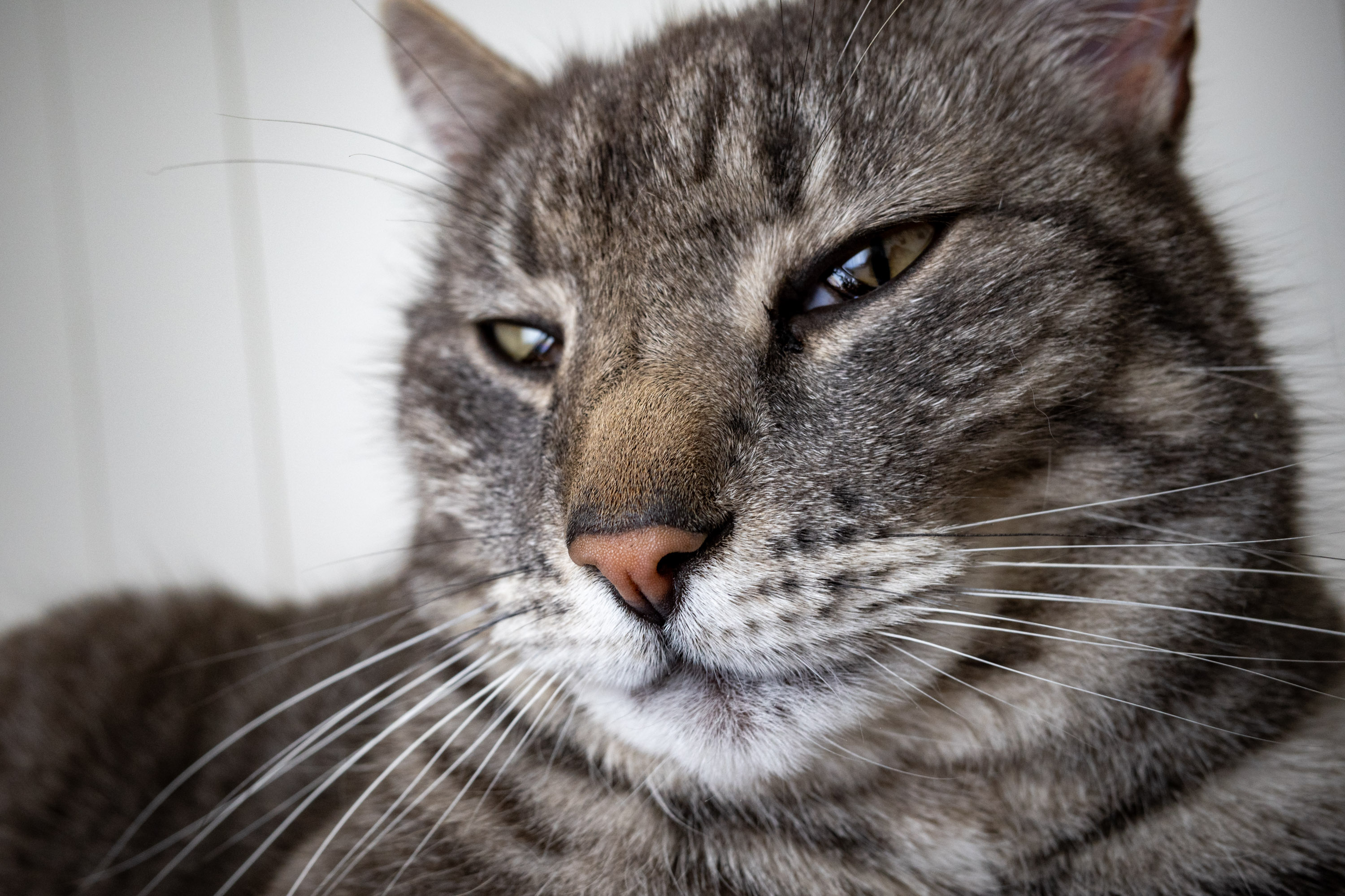 20/03/2026 par Francis Traunig