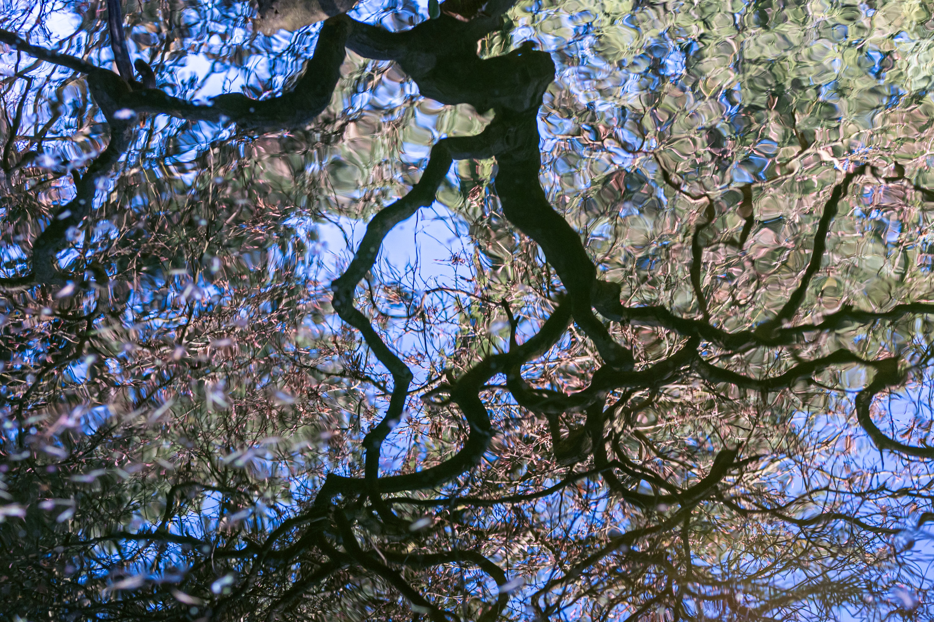 29/03/2026 par Francis Traunig