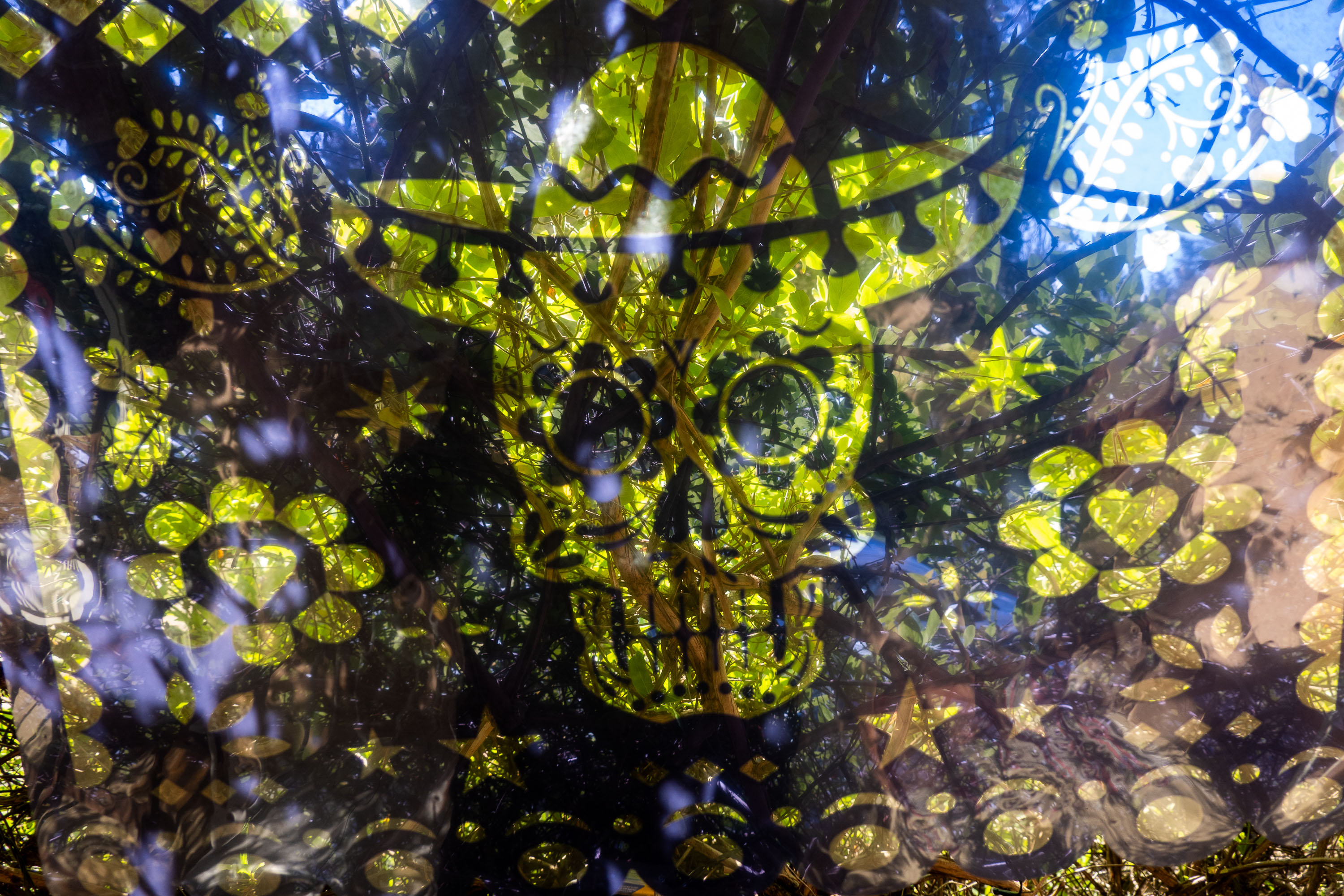  par Tristan Zilberman