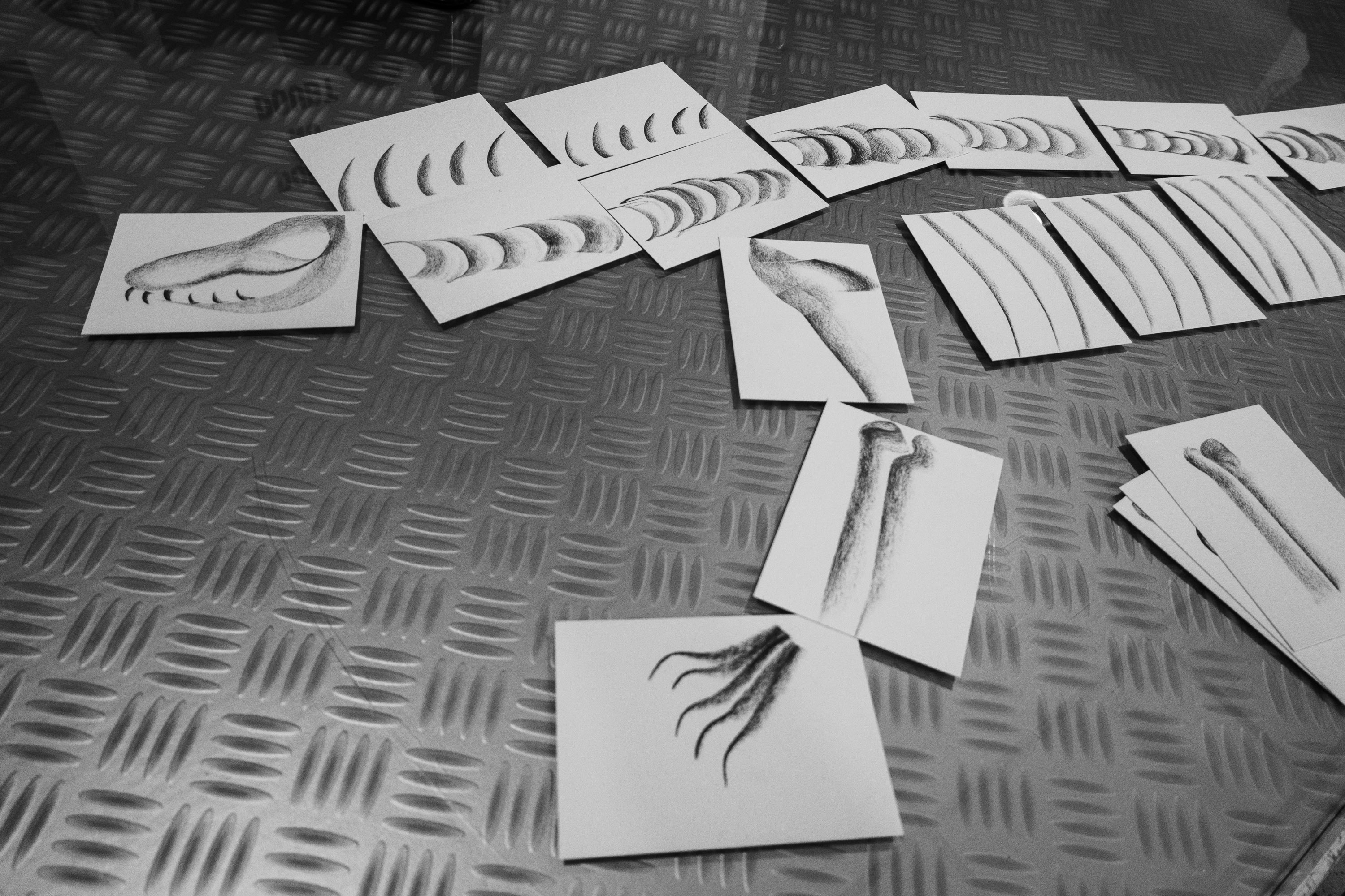  par Tristan Zilberman