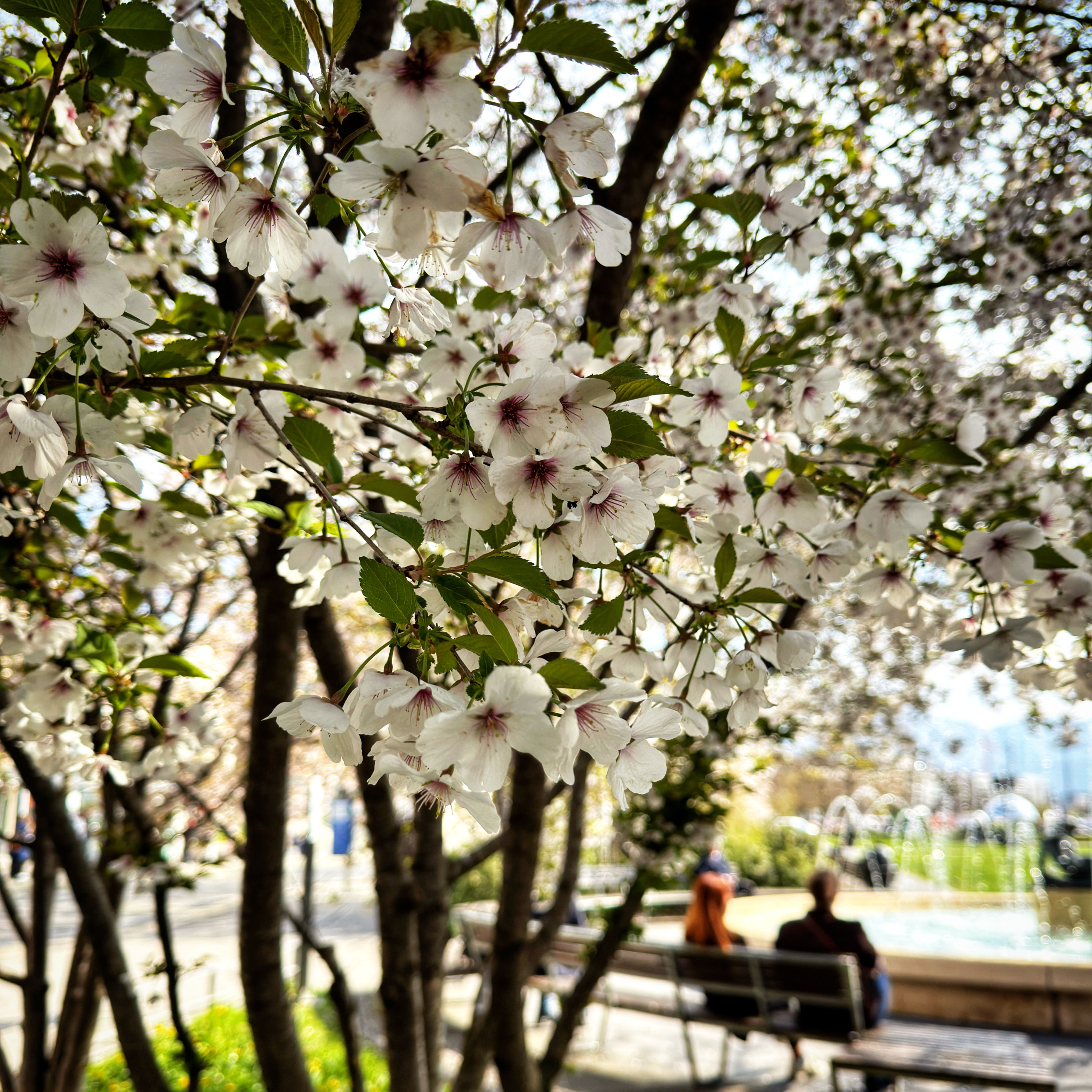  par Isabelle Meister