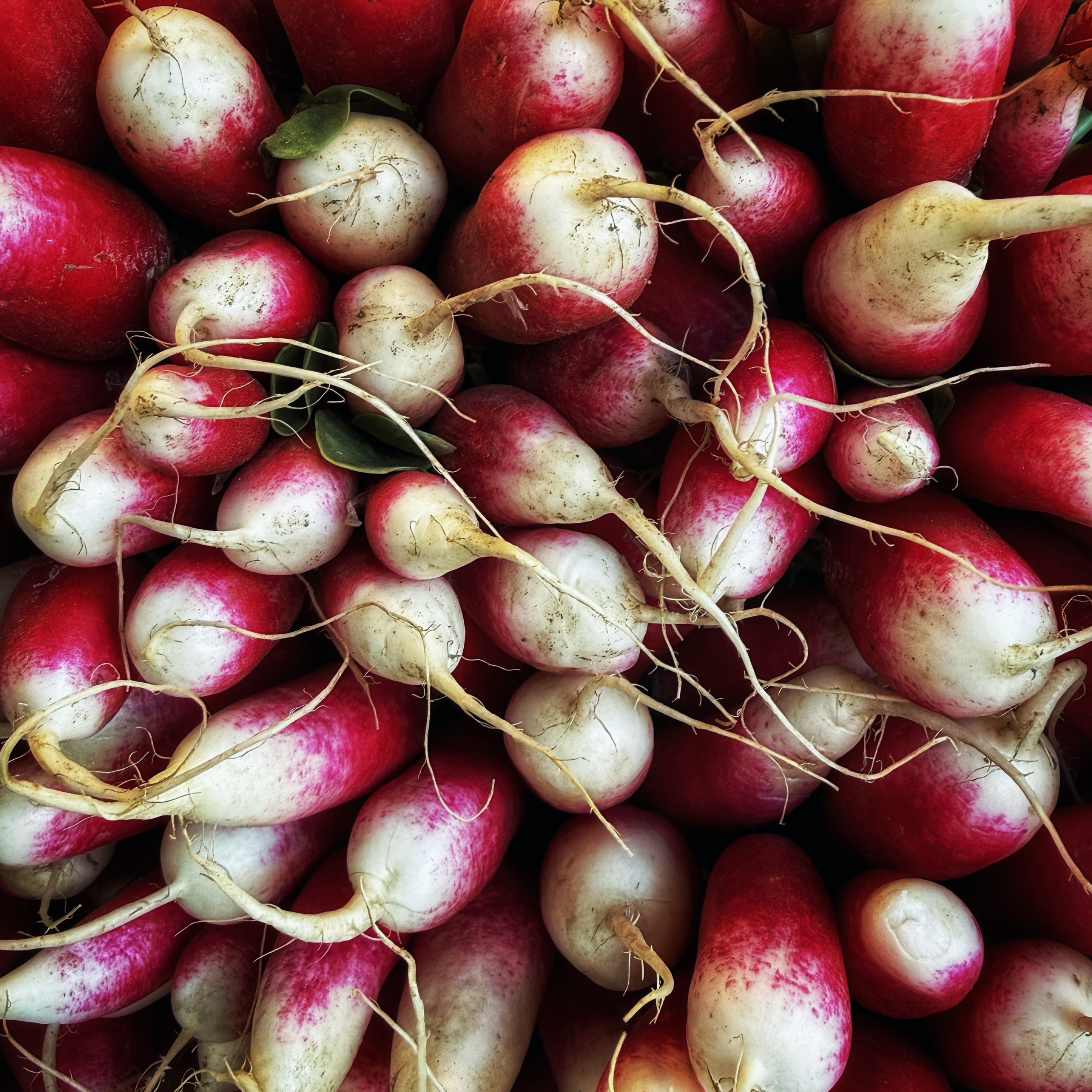  par Isabelle Meister