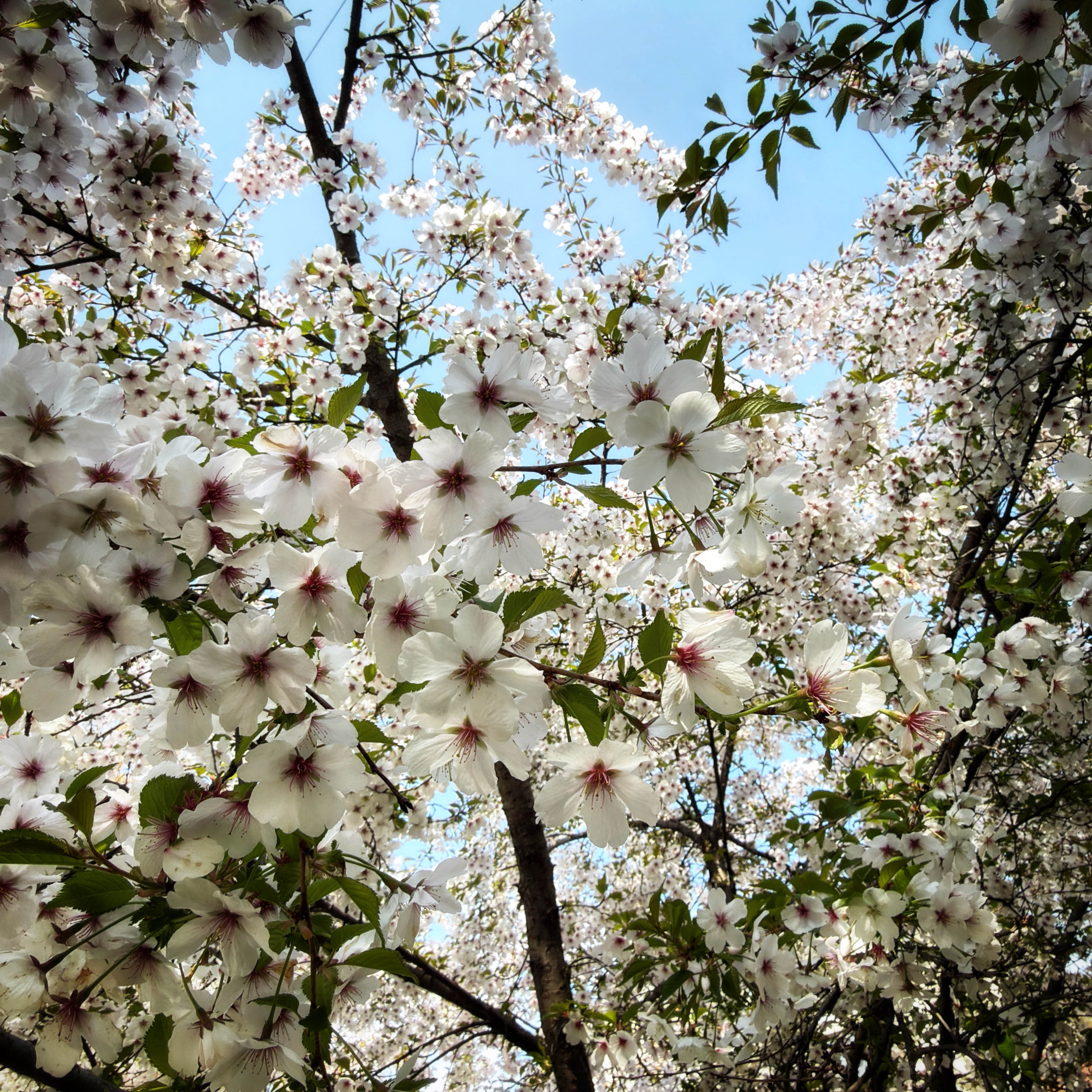  par Isabelle Meister