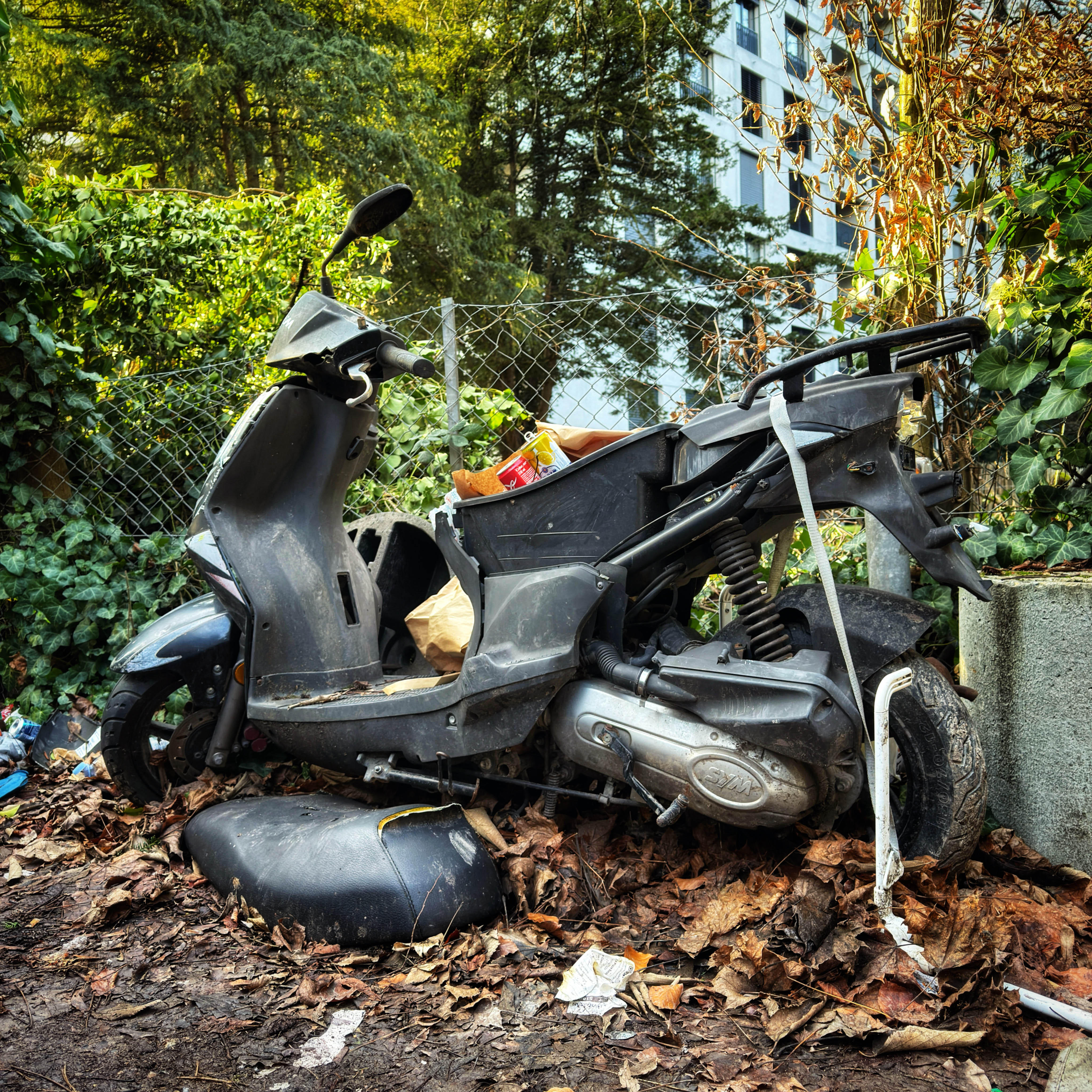  par Isabelle Meister