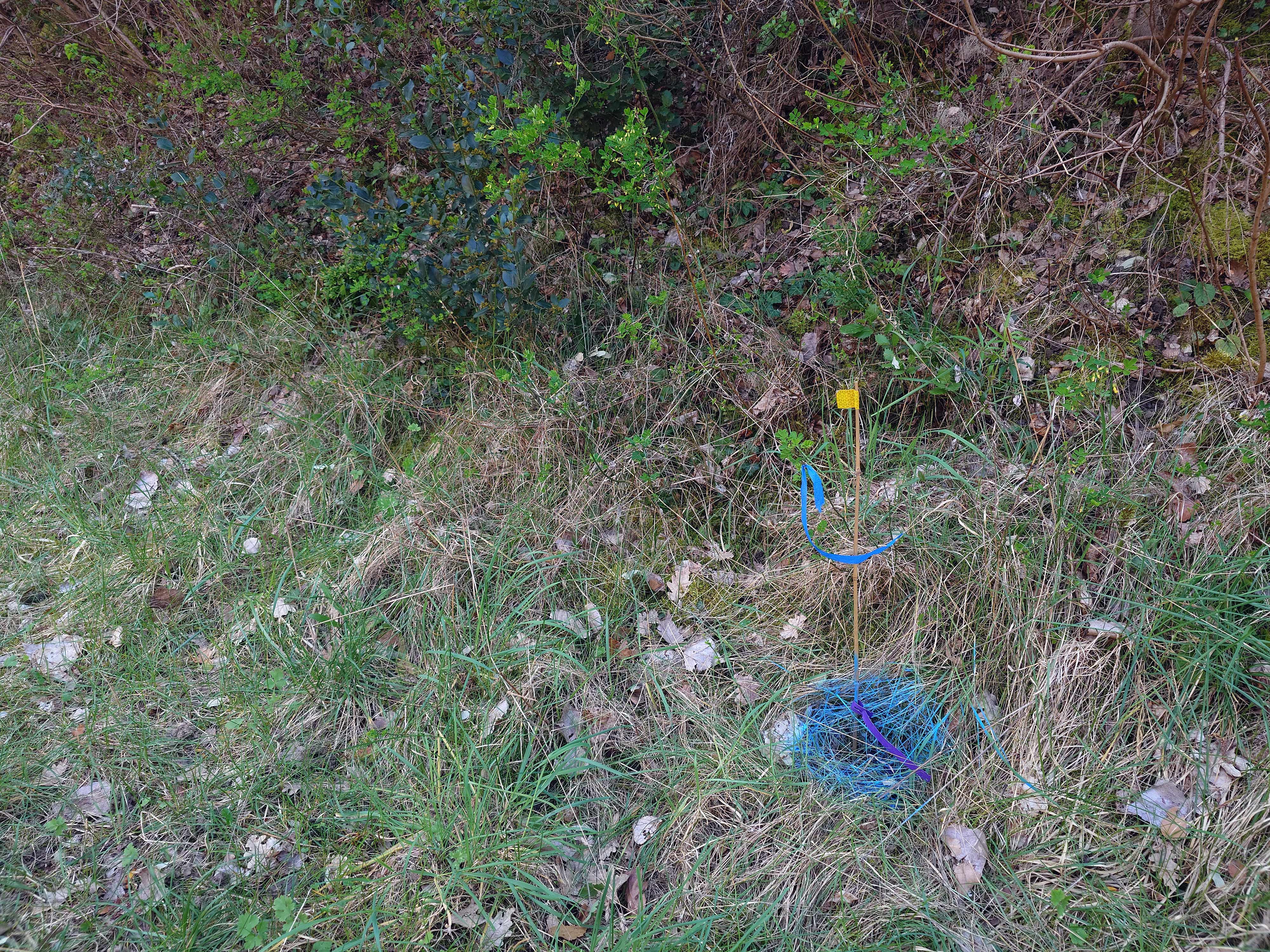  par Arnaud Lancelevée