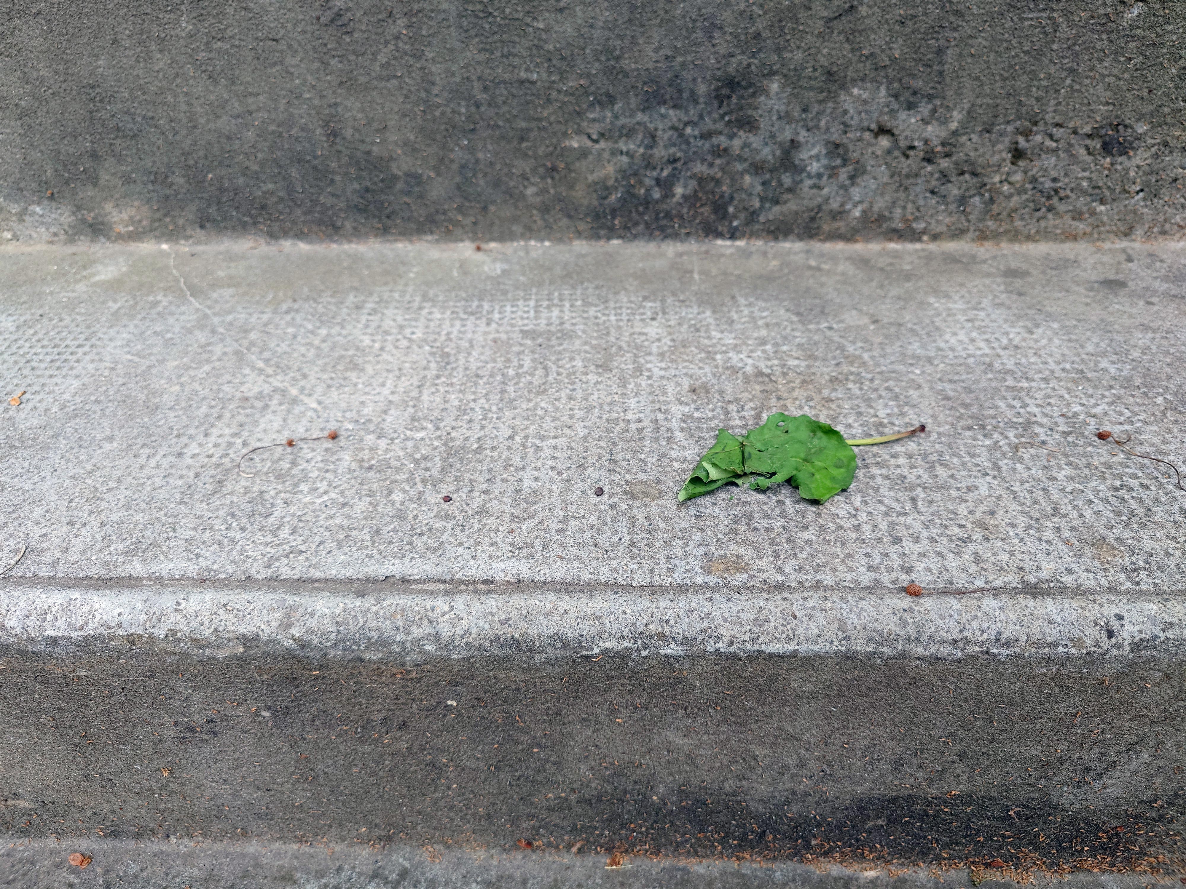  par Arnaud Lancelevée