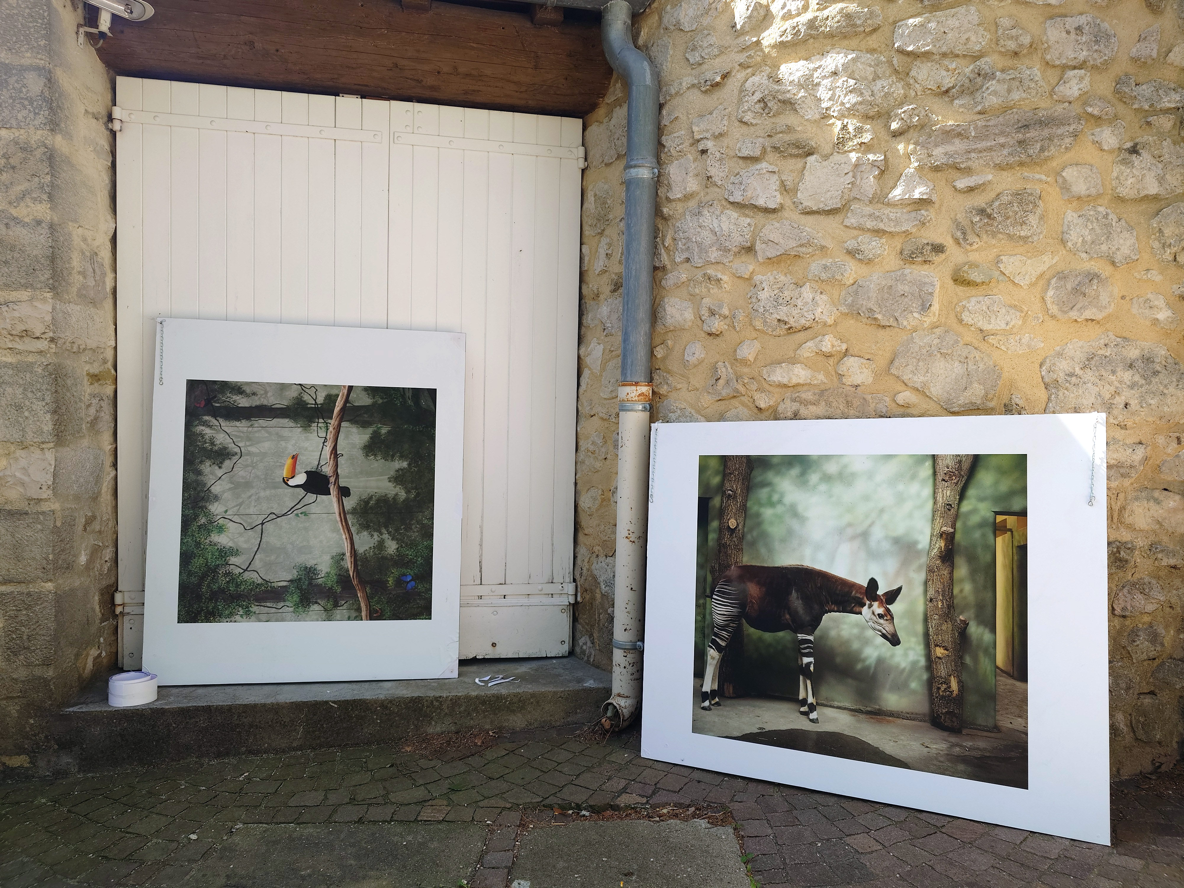  par Arnaud Lancelevée