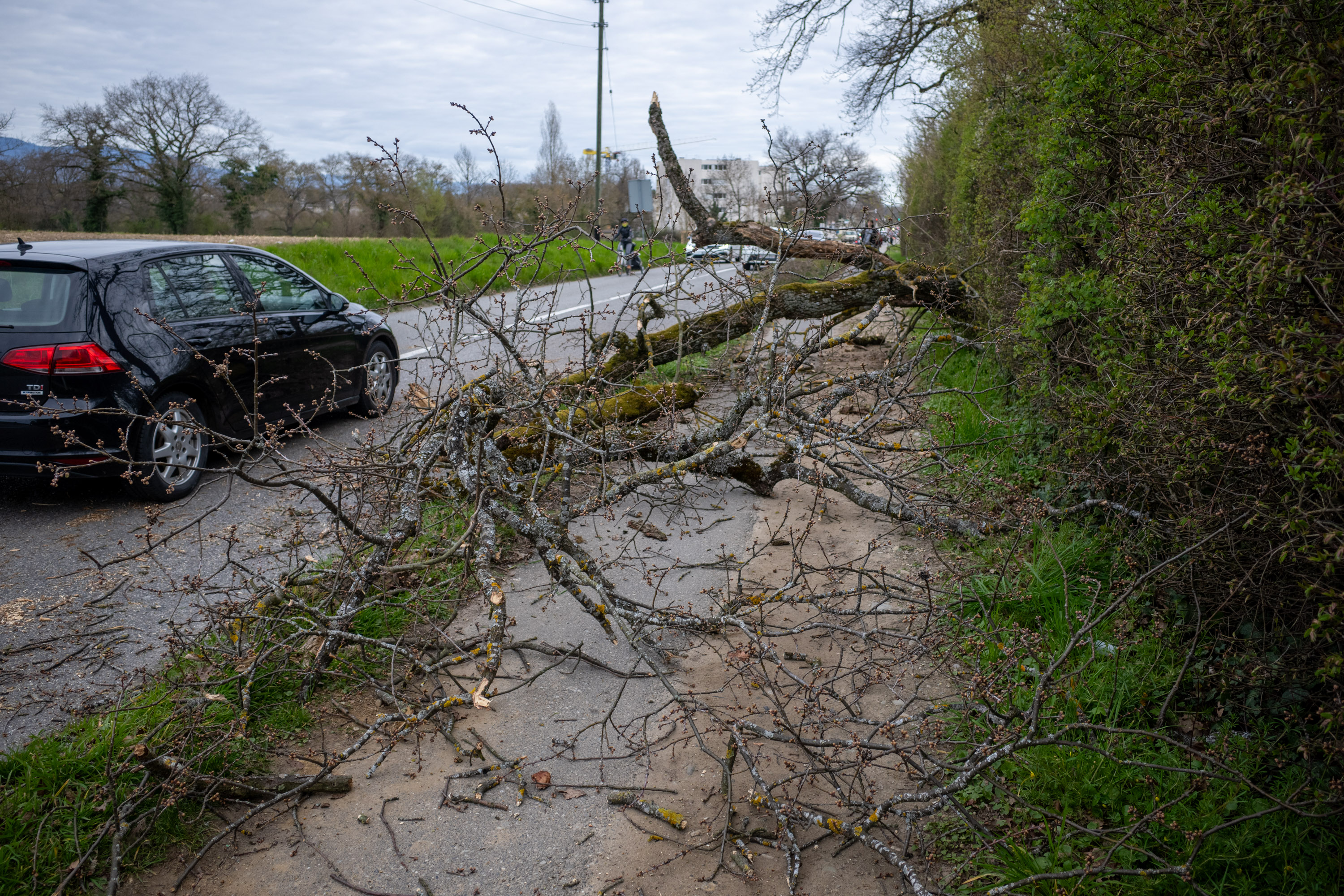 planche à roulettes par Francis Traunig