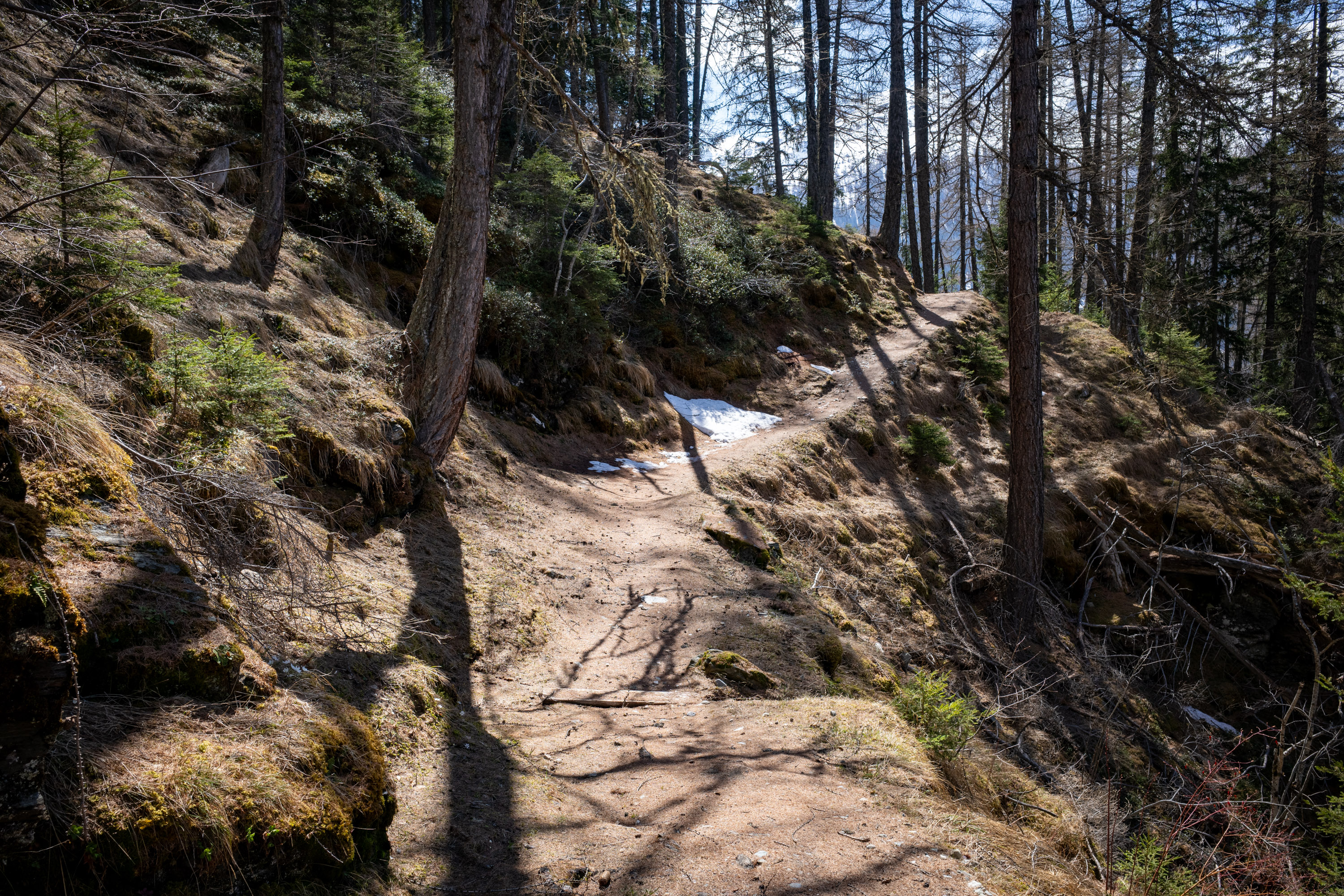 16/04/2026 par Francis Traunig