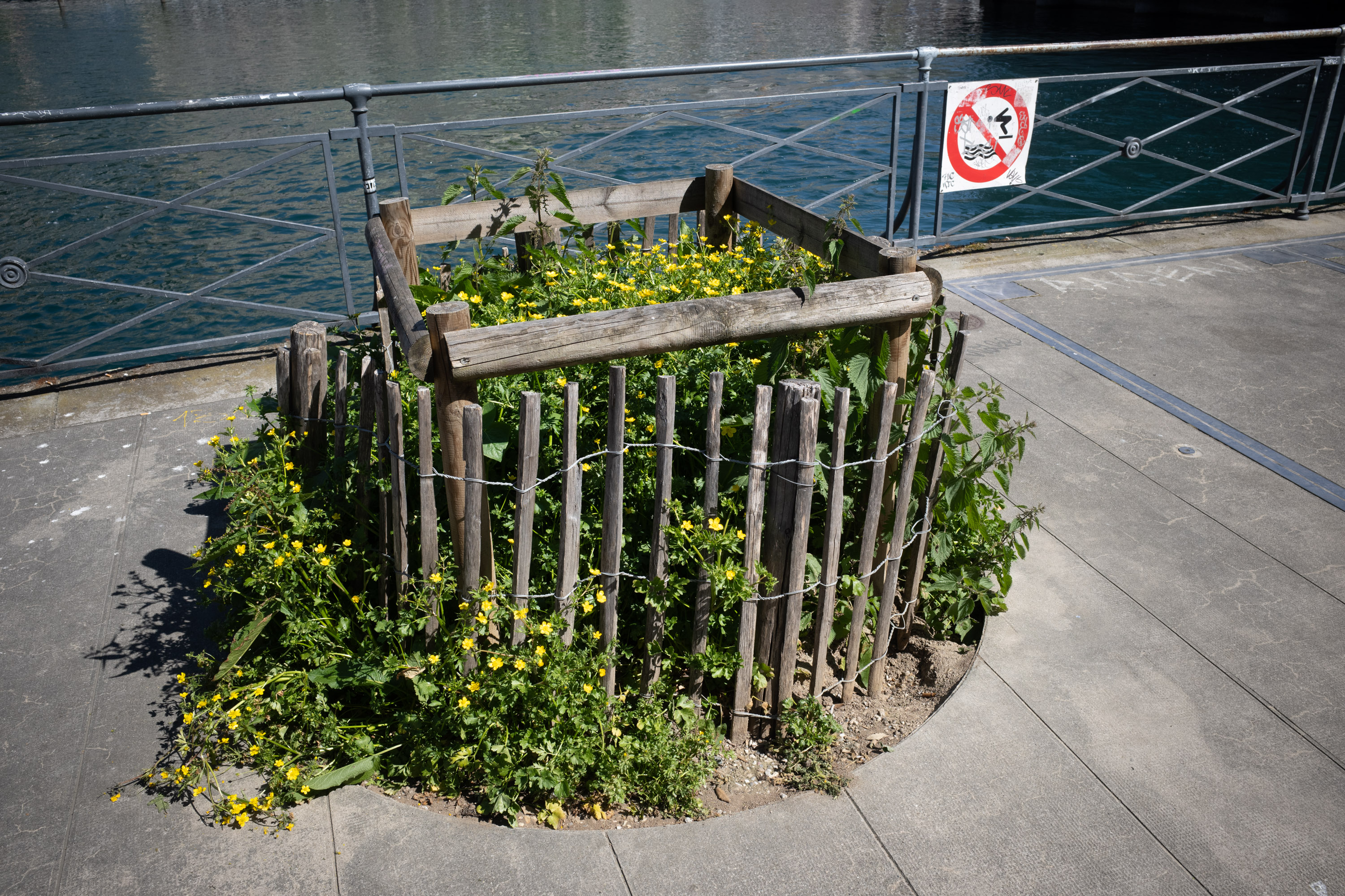 Waiting for Godot par Francis Traunig
