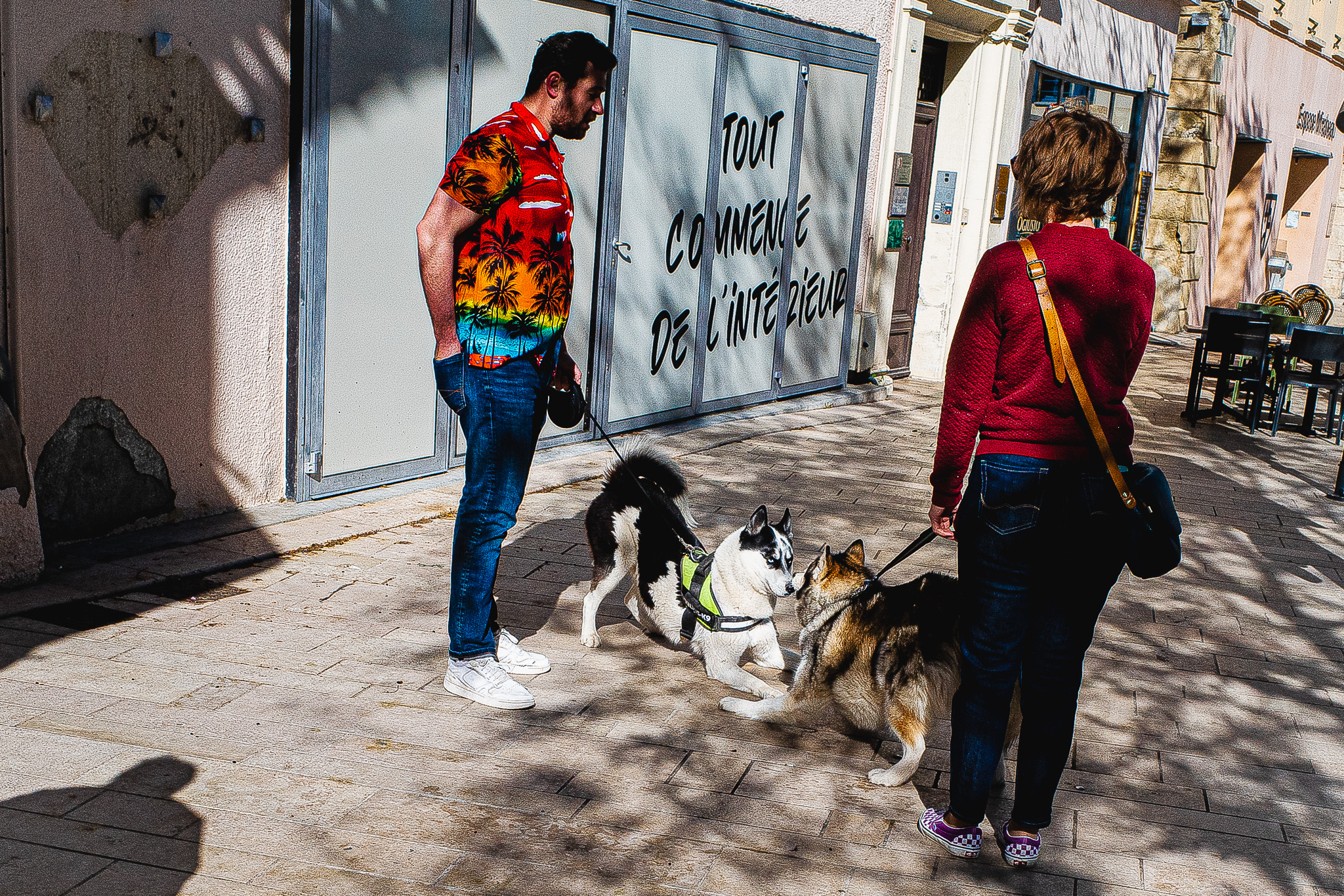 Les affinités électives par Gérard Dubois