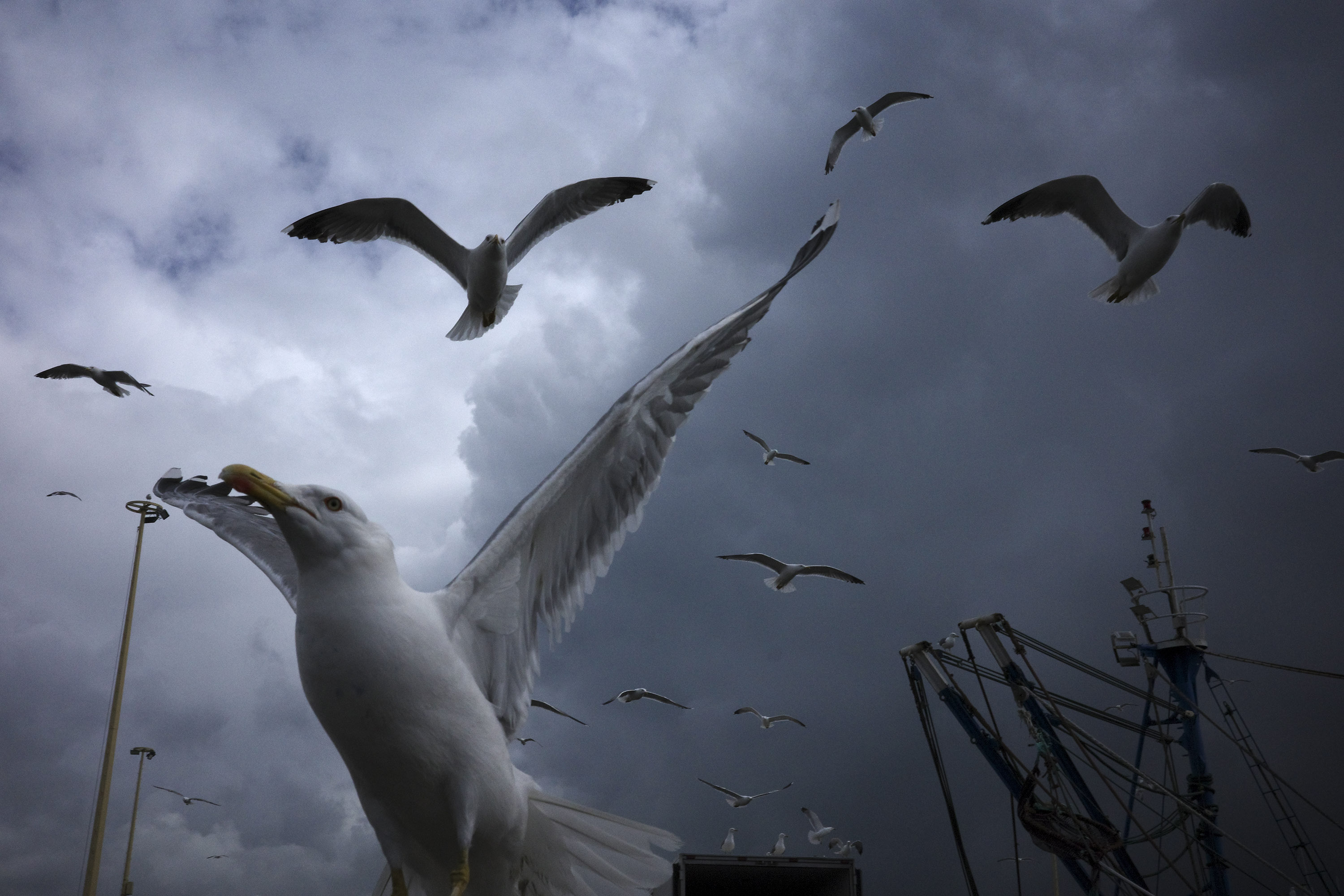 Essaouira, le 10 avril 2026 par Silvia Bernardi
