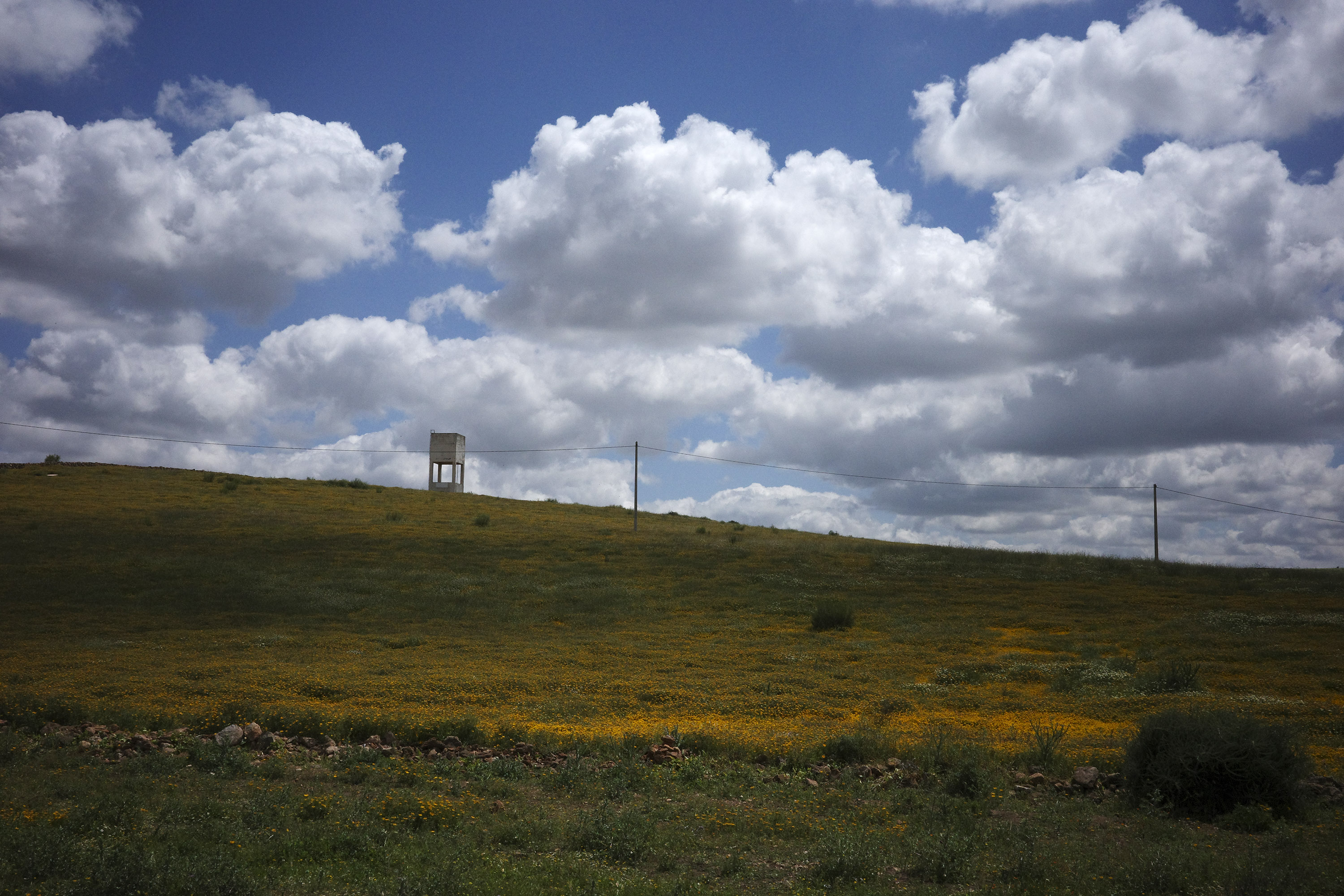 Chichaoua, le 11 avril 2026 par Silvia Bernardi