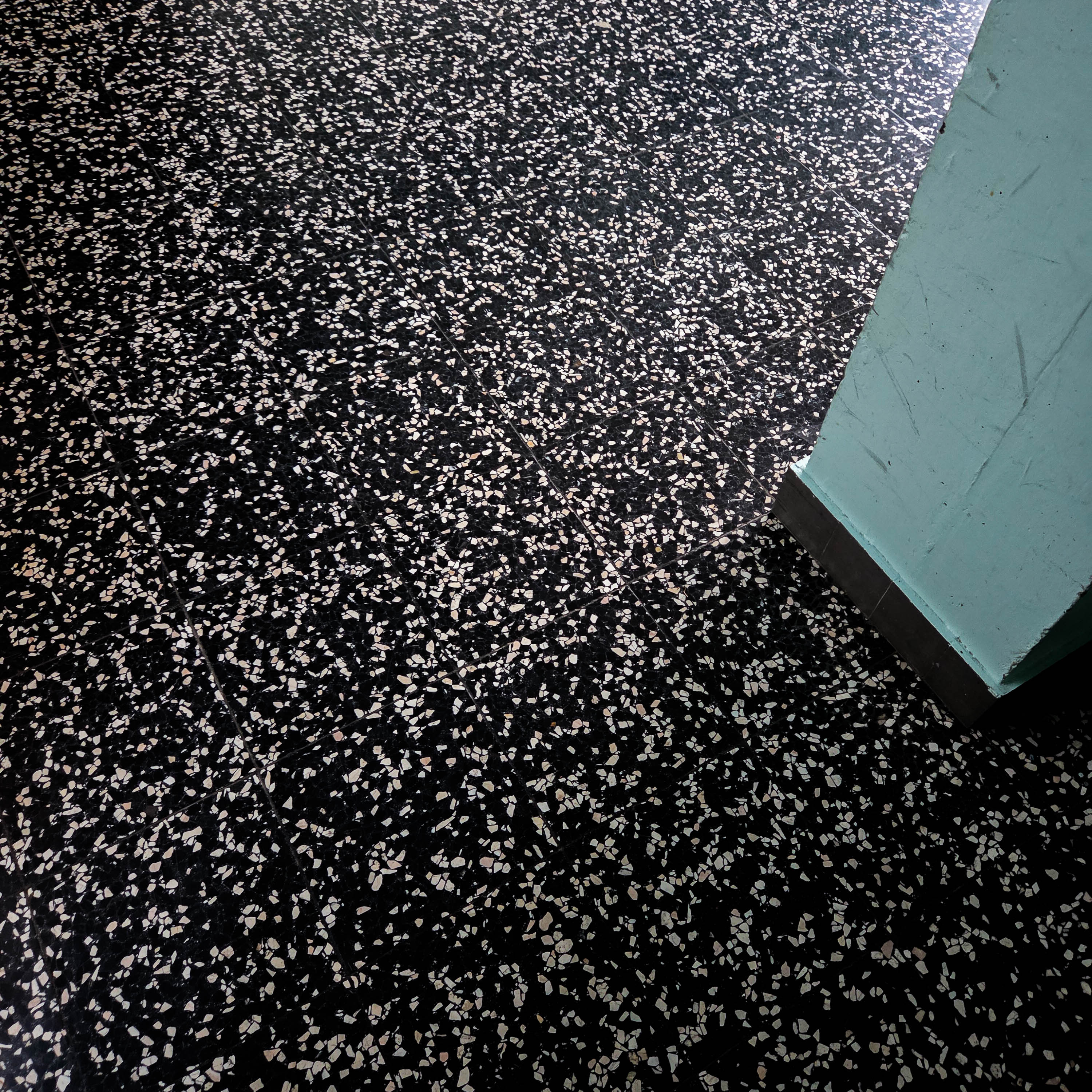 Hors du nid (photojournala__e 2594) par Anne Wyrsch