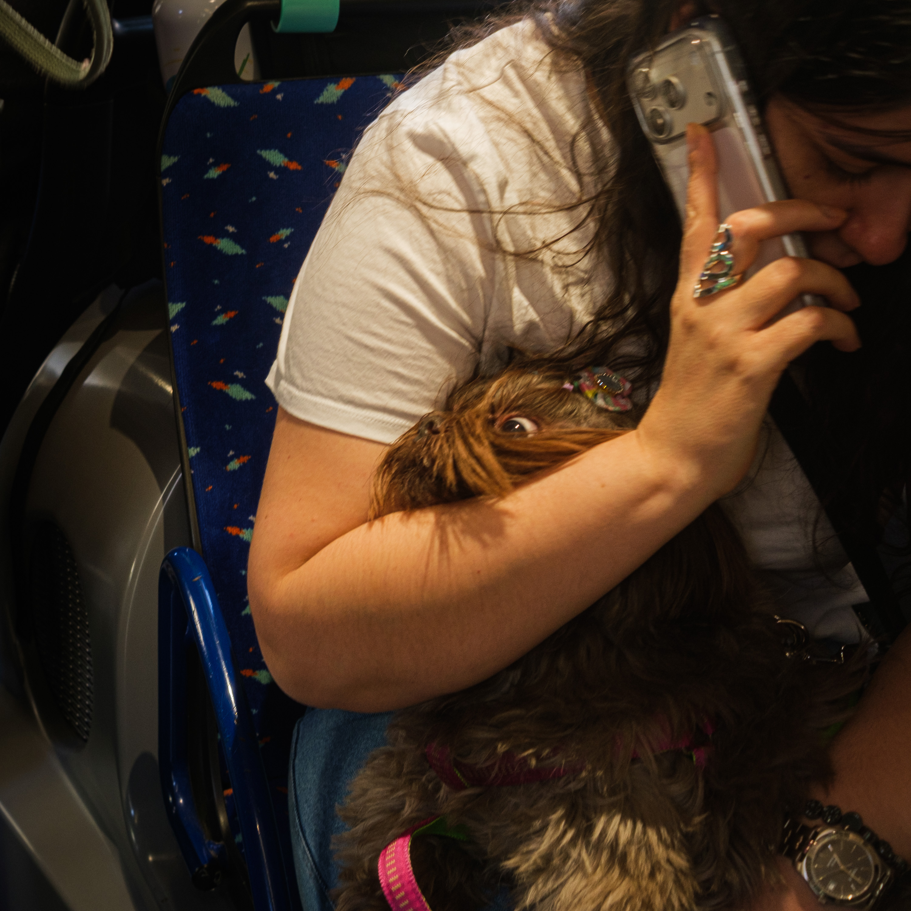 Le toutou (photojournala__e 2599) par Anne Wyrsch