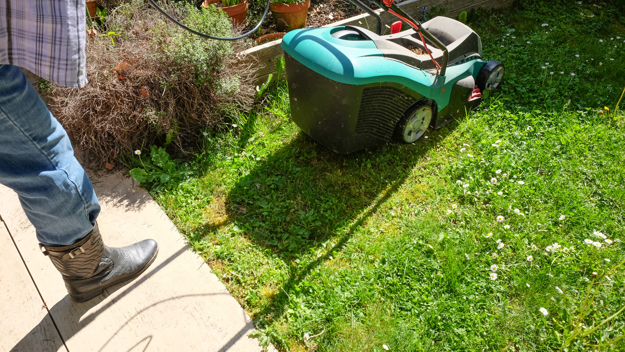  par Michel Israelian