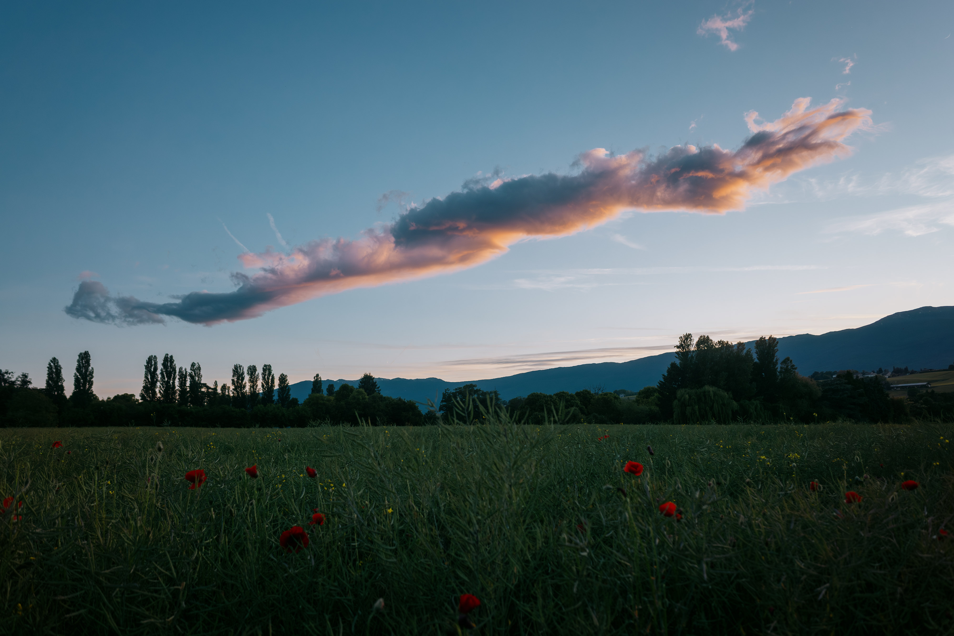  par Gabriel Asper