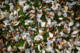 10/04/2026 par Francis Traunig