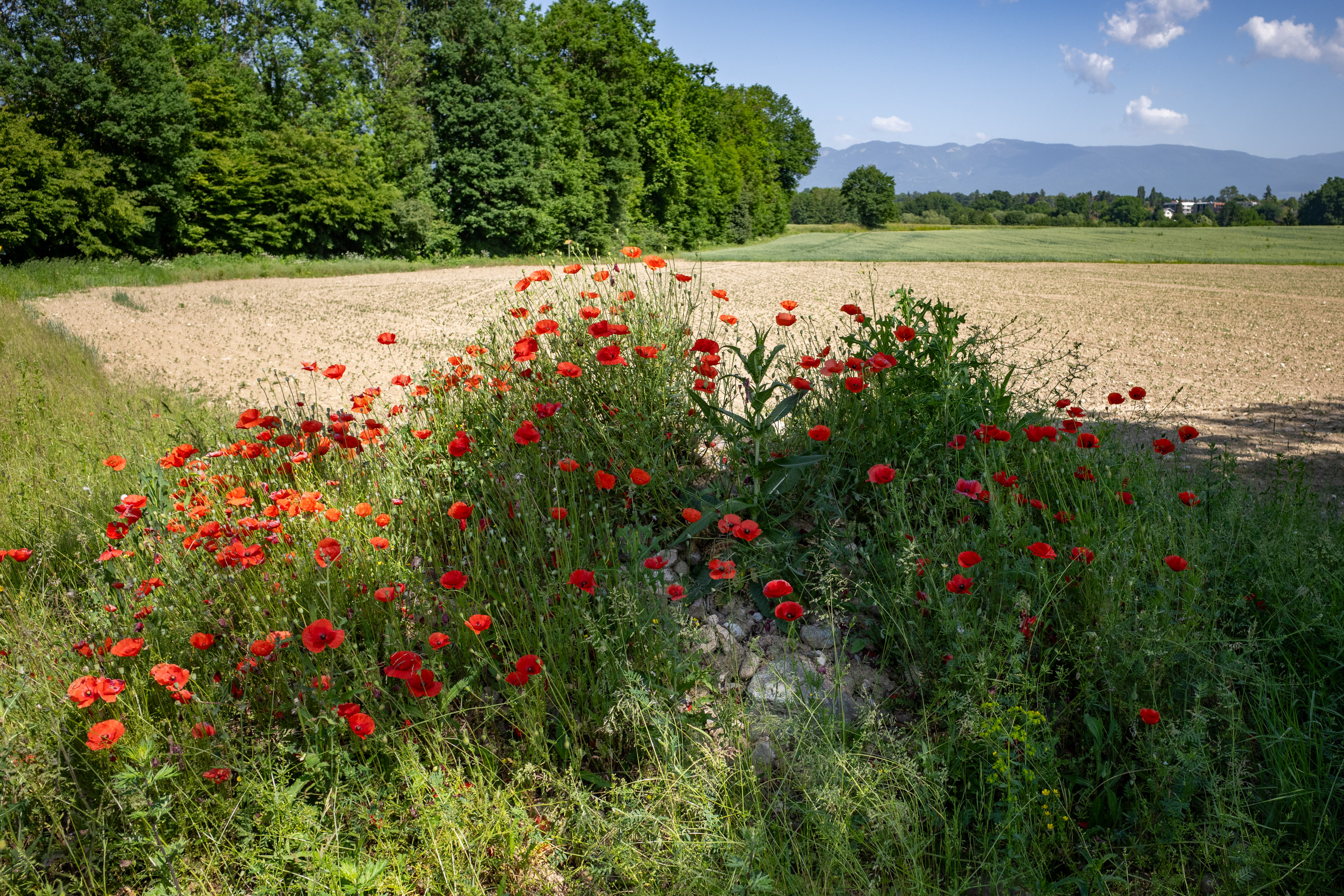 Le 27 mai 2026 par Francis Traunig