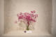 22/05/2026 par Nicolas Spuhler