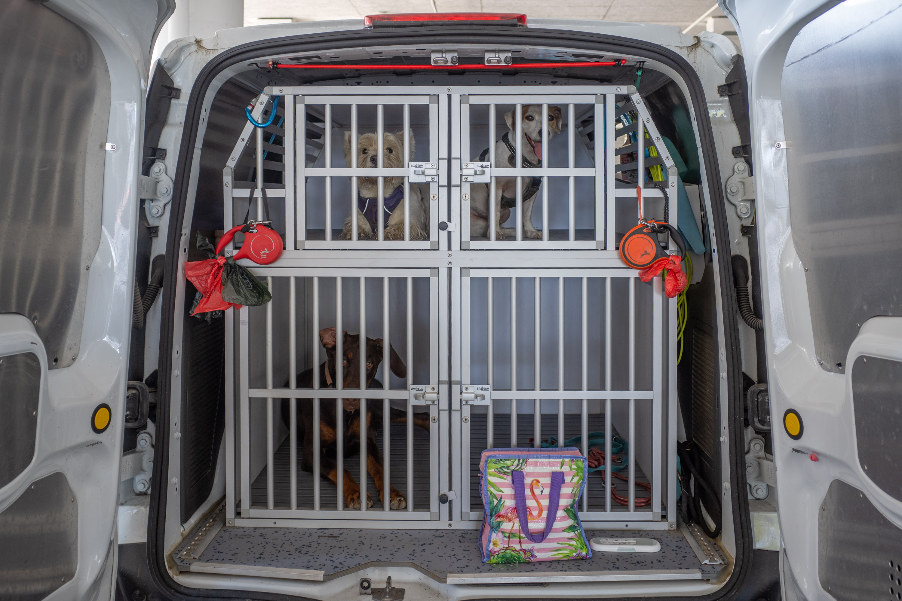 mOnDo CaNe par Francis Traunig