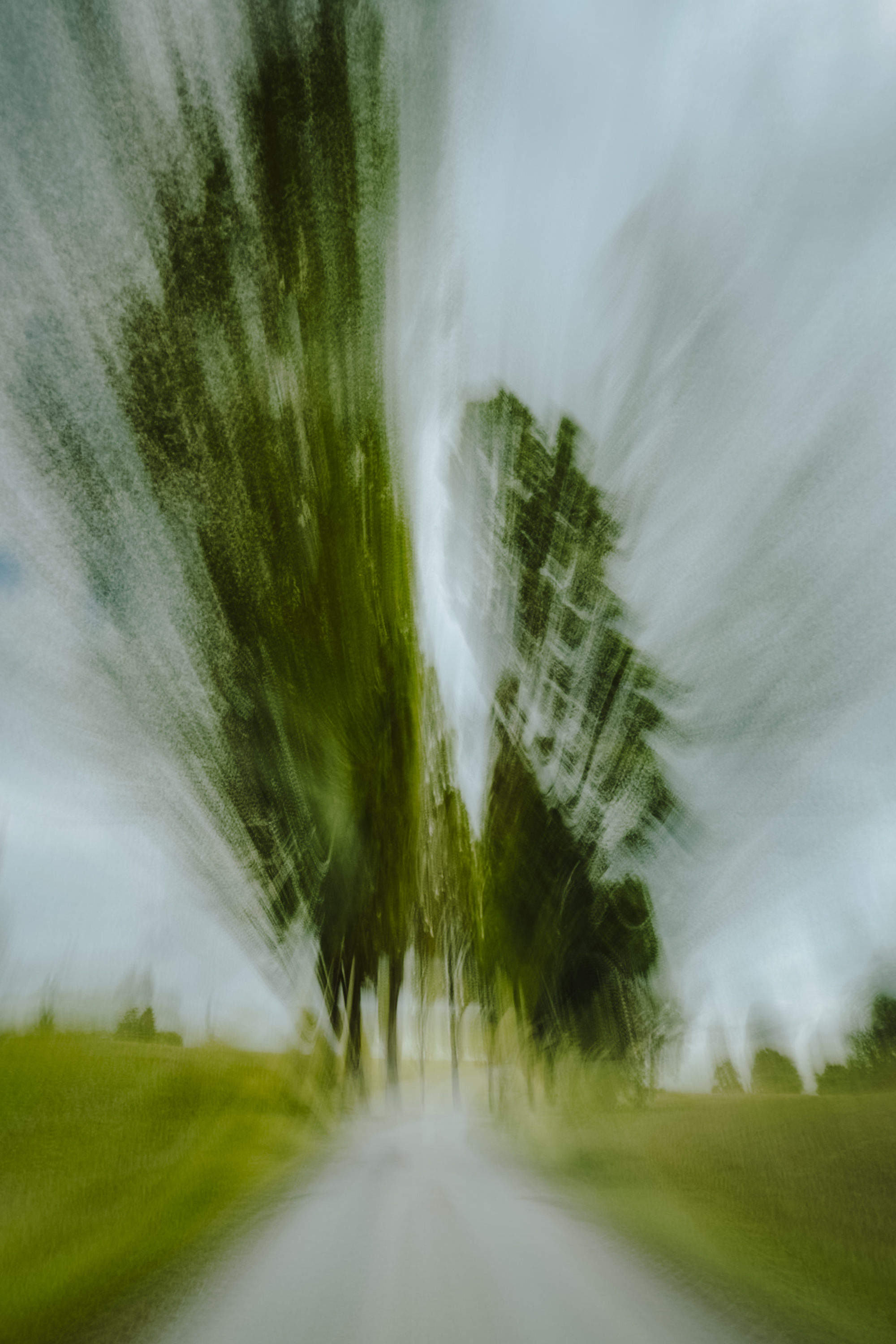  par Nicolas Spuhler