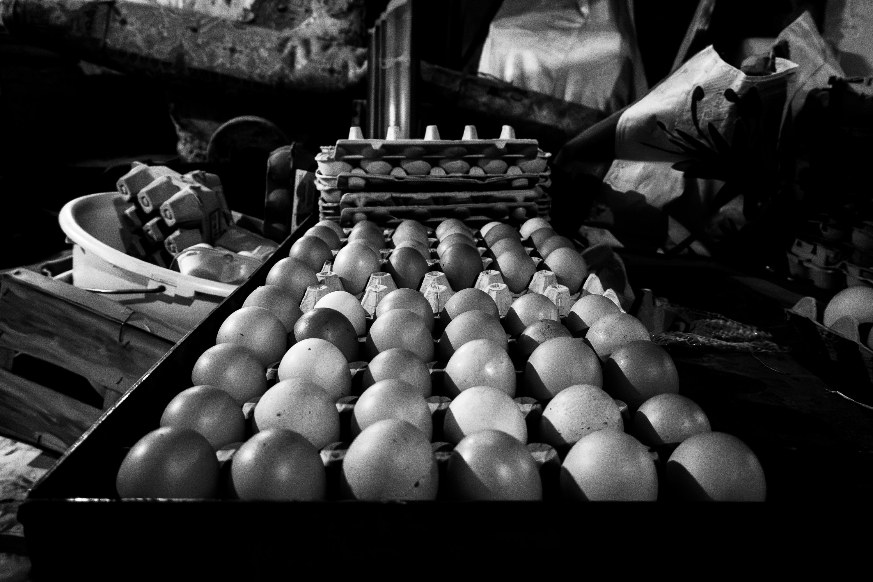  par Tristan Zilberman
