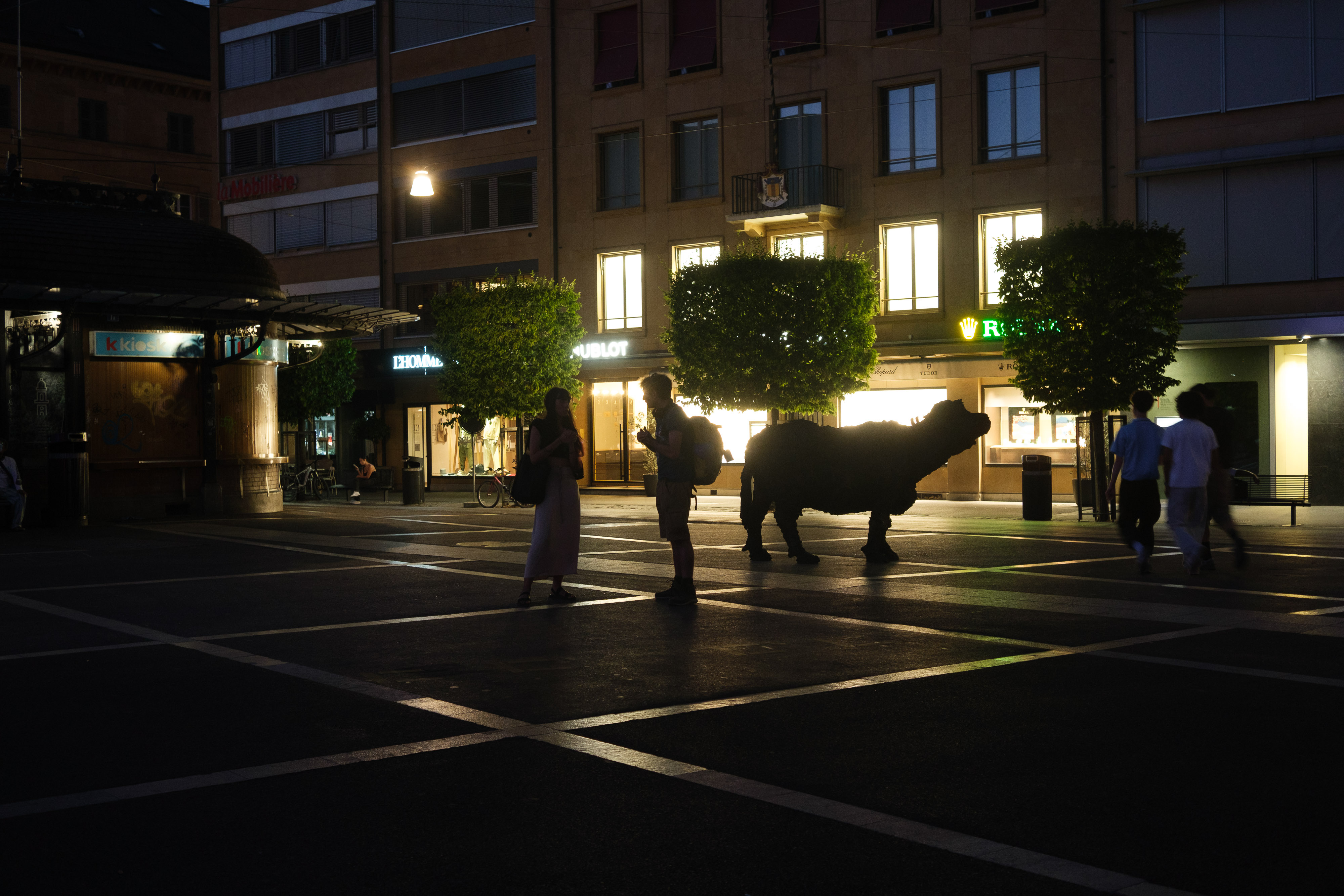 La P (photojournala__e 2674) par Anne Wyrsch