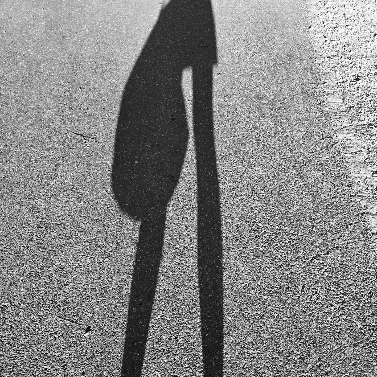 La souplesse (photojournala__e 2678) par Anne Wyrsch
