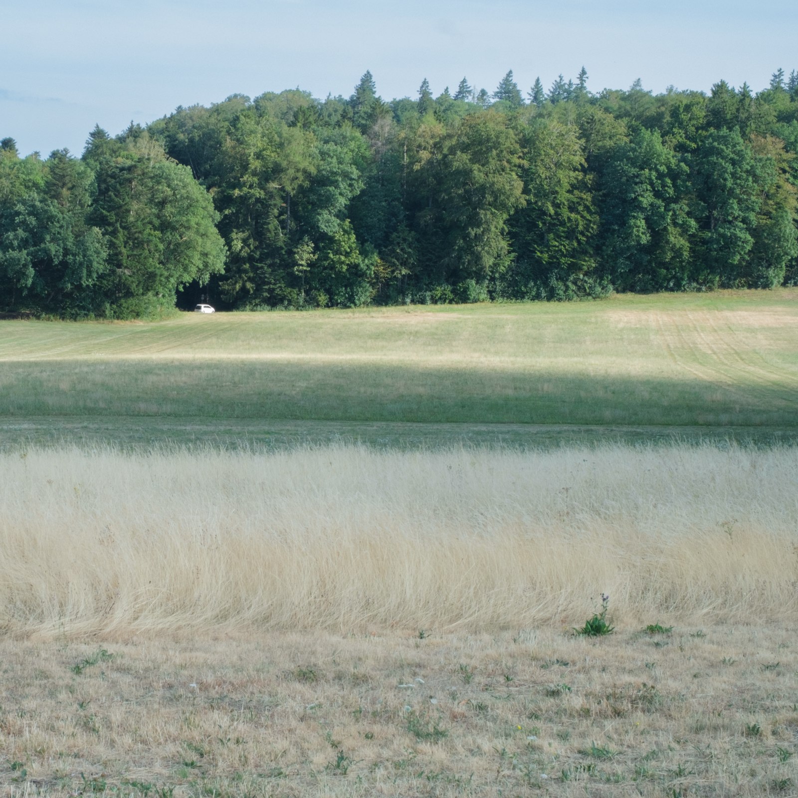 Et tout au loin, la bagnole (photojournala__e 2686) par Anne Wyrsch