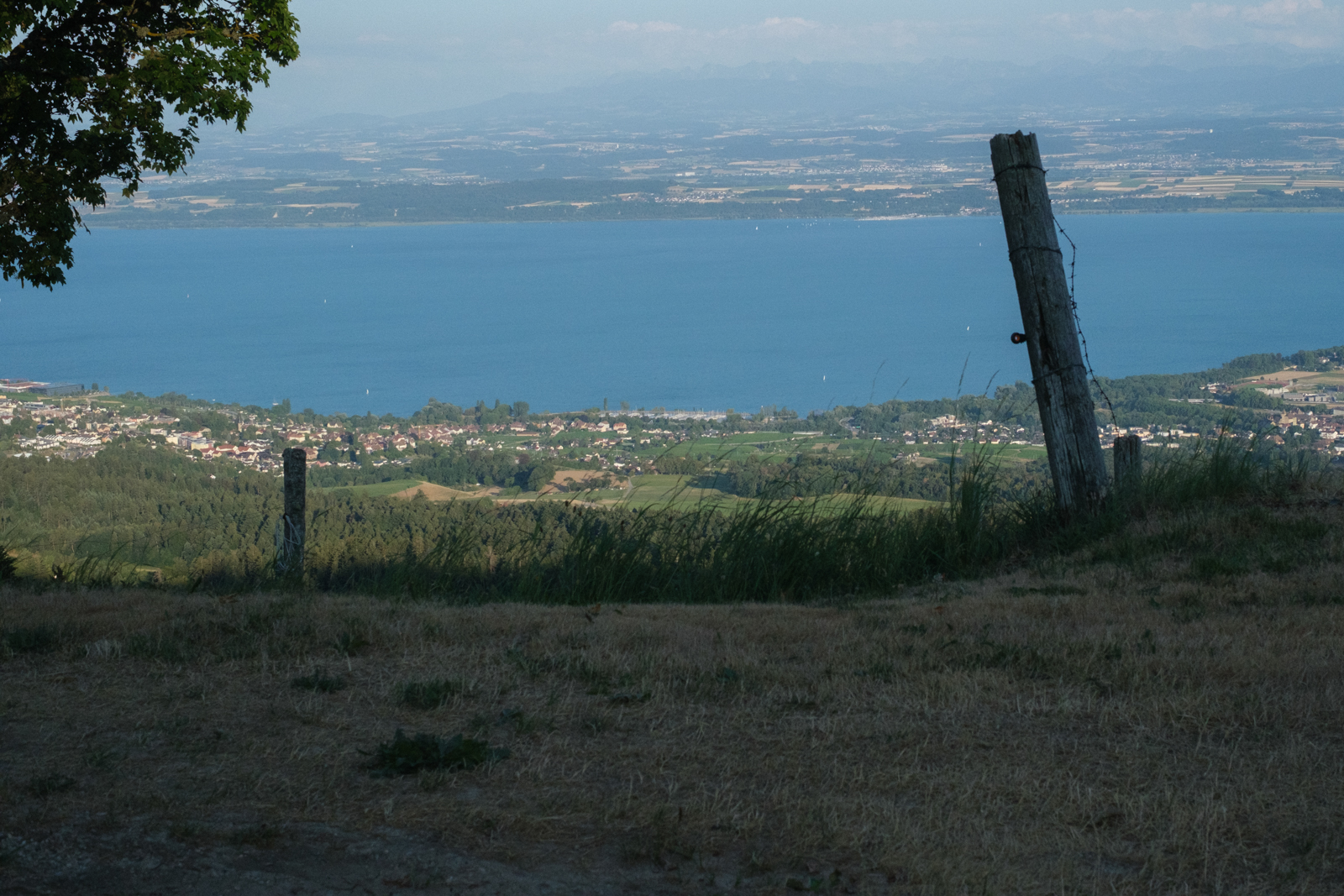 De la Chenille (photojournala__e 2687) par Anne Wyrsch