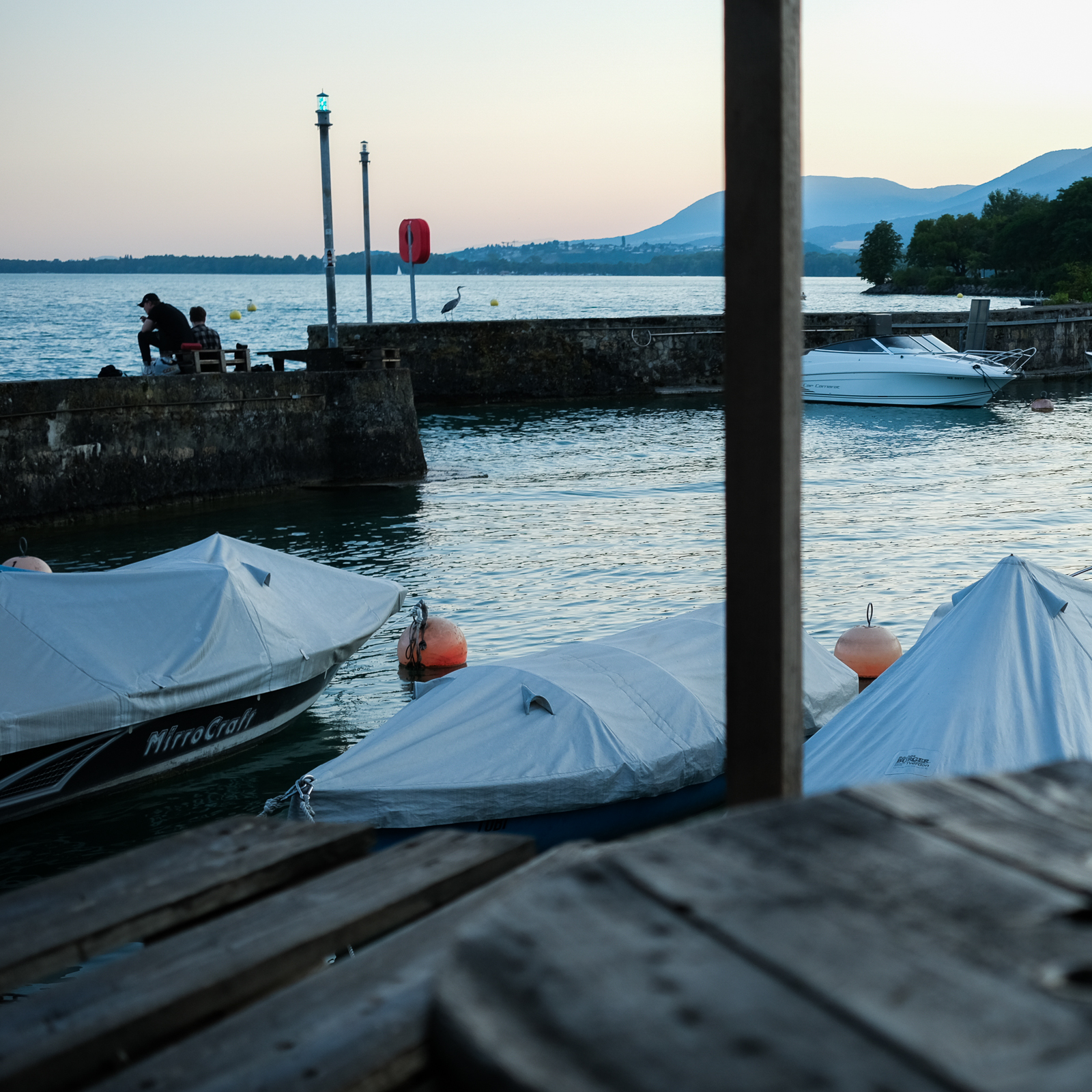 Le rencart du héron (photojournala__e 2695) par Anne Wyrsch