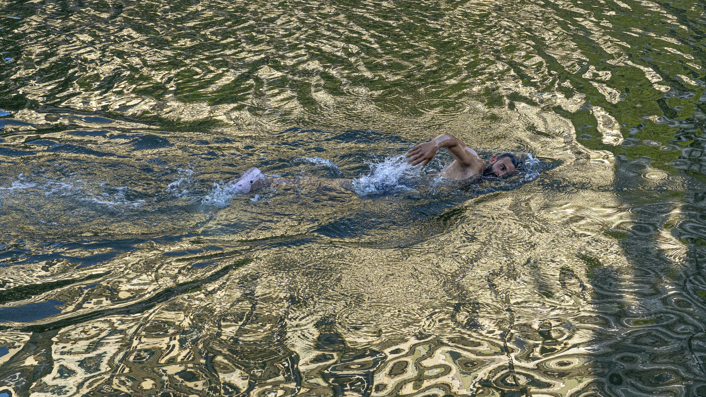 Golden swim par Yona Tobler