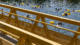 Baignade en Seine par Yona Tobler