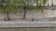Peintre en Seine par Yona Tobler