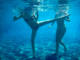 This is part of my training to start my business par Michel Bruno
