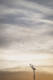 08/08/2026 par Nicolas Spuhler